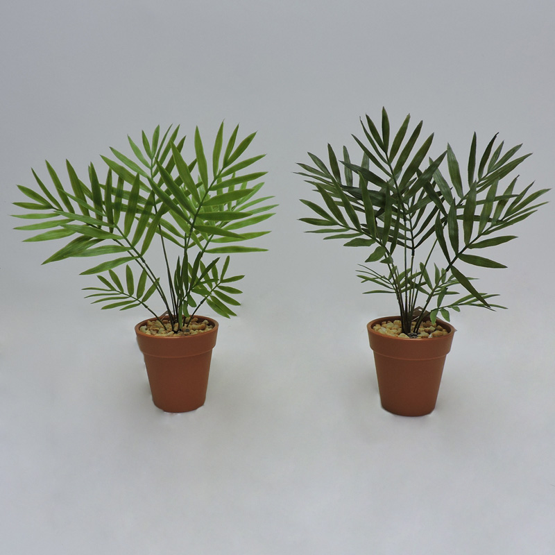 P240739-27组合.JPG