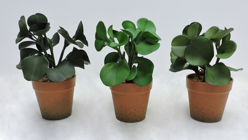 P240741-20组合.JPG