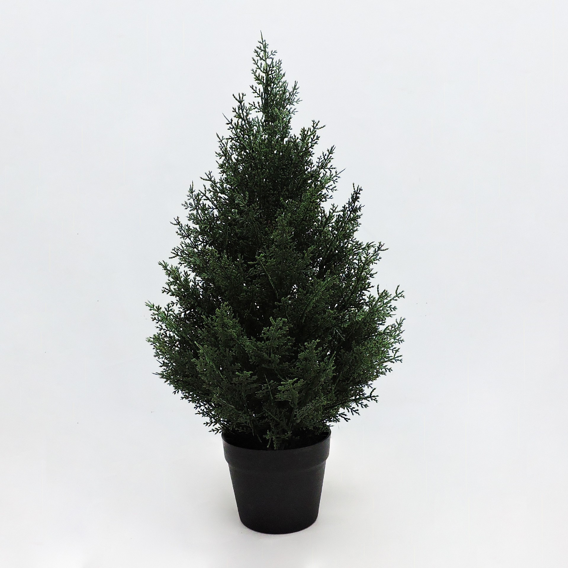 P230195QS-60 7.8.JPG