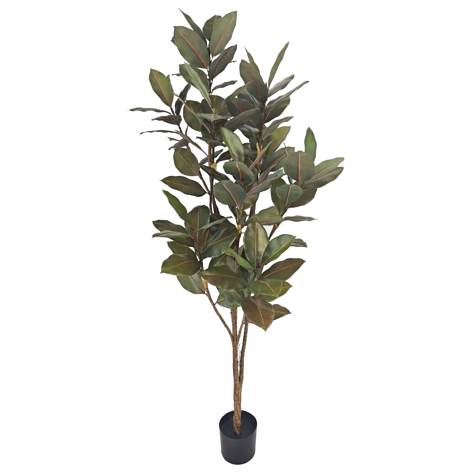 P250136HX-190 10头橡树 熟绿色.jpg