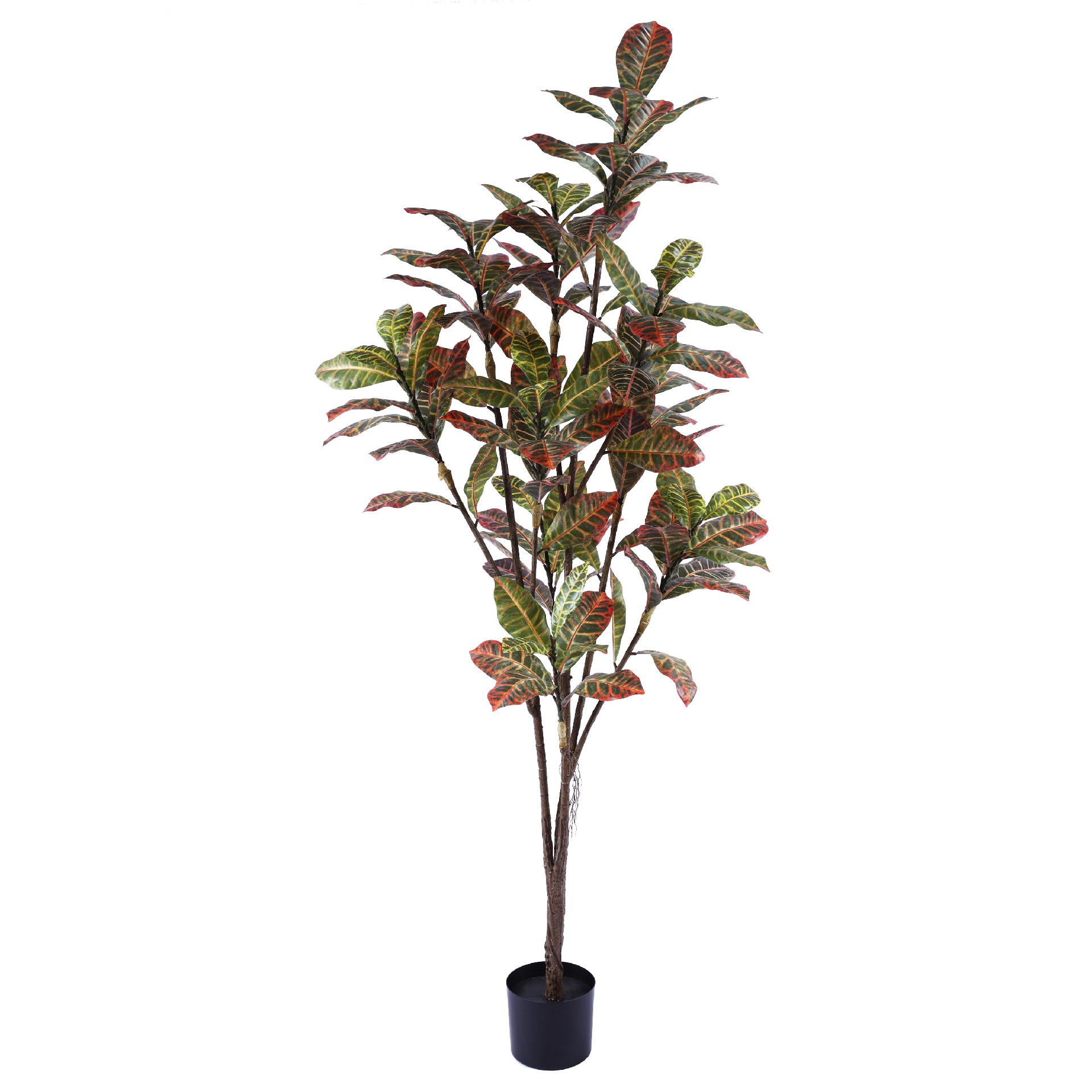 P250137HX-190 10头变色木 春色.JPG