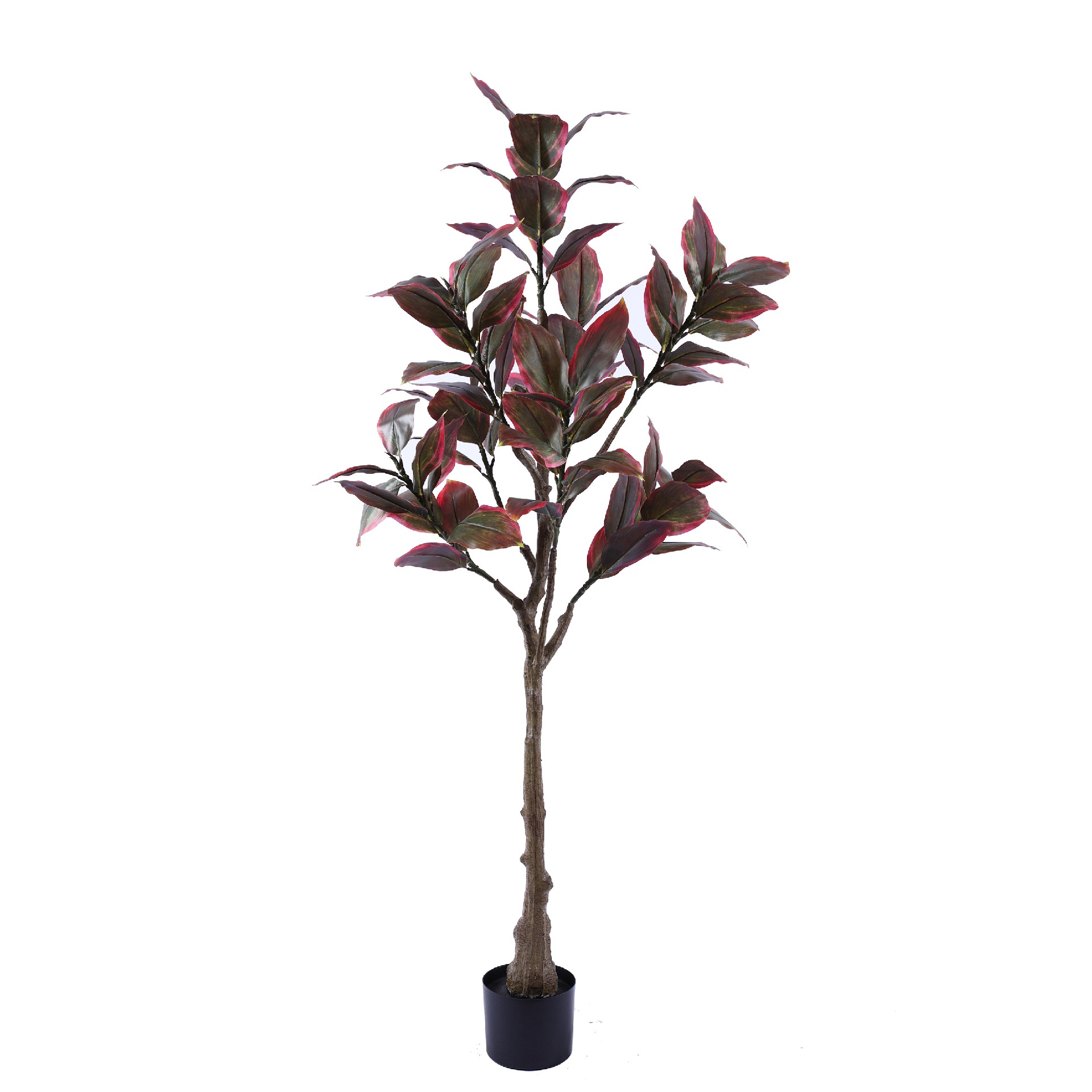 P250142HX-120 6头橡树 红.JPG