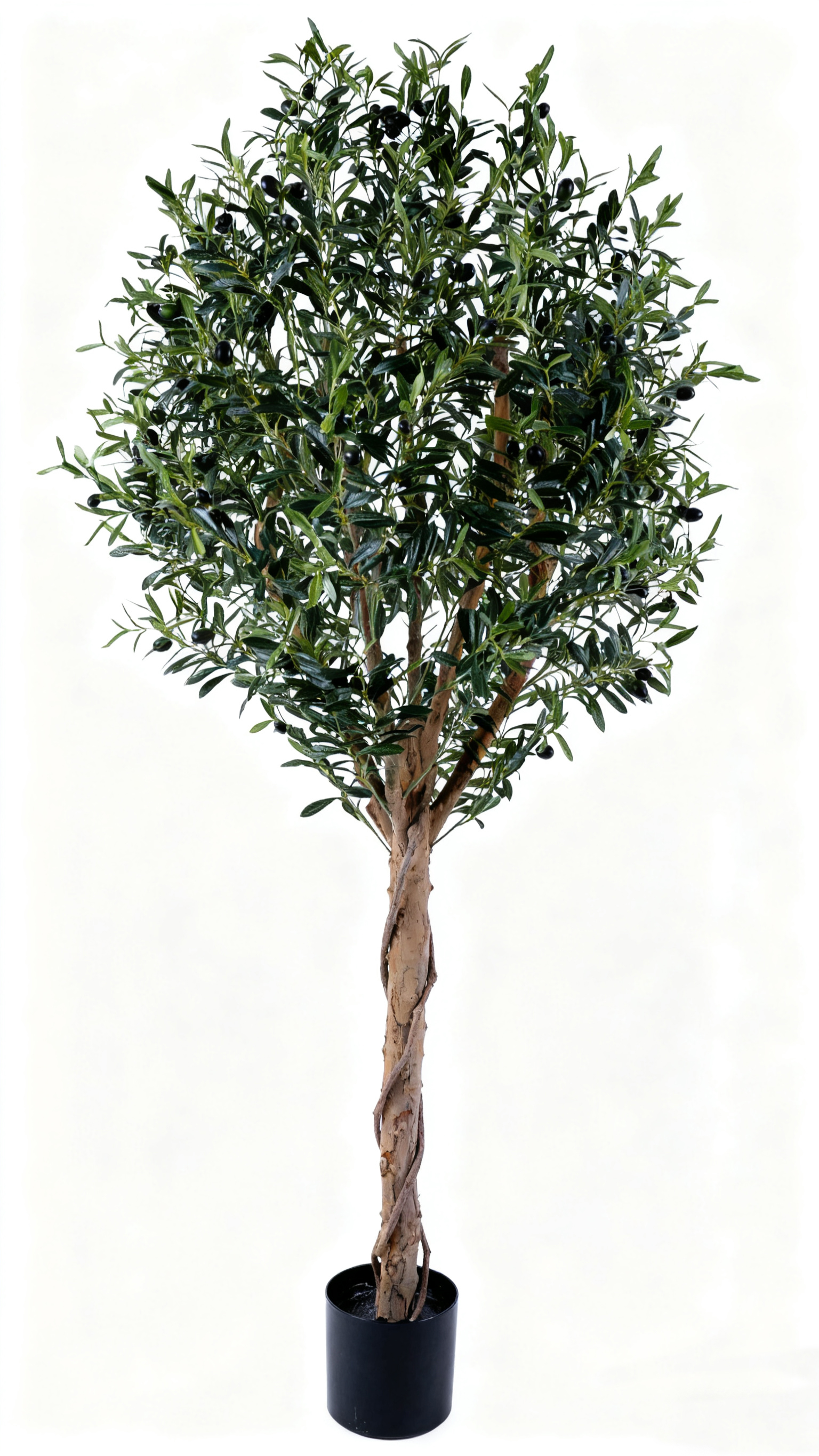 图片背景替换 (27).jpg