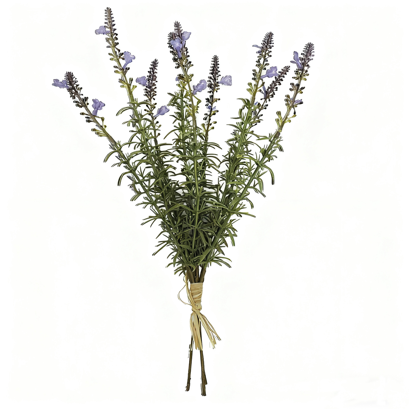 图片背景替换 (42).jpg