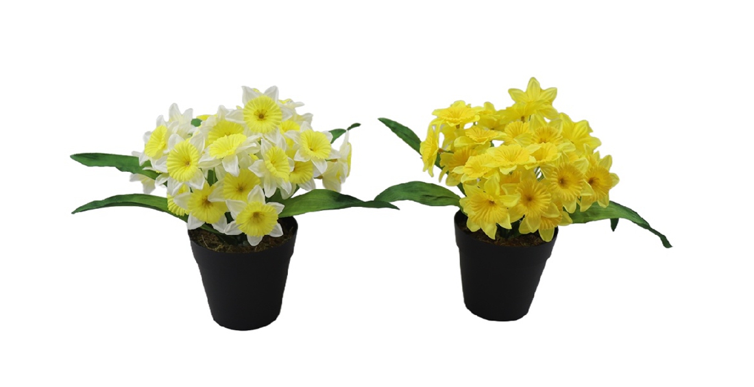 P250677GR-22 (1).jpg