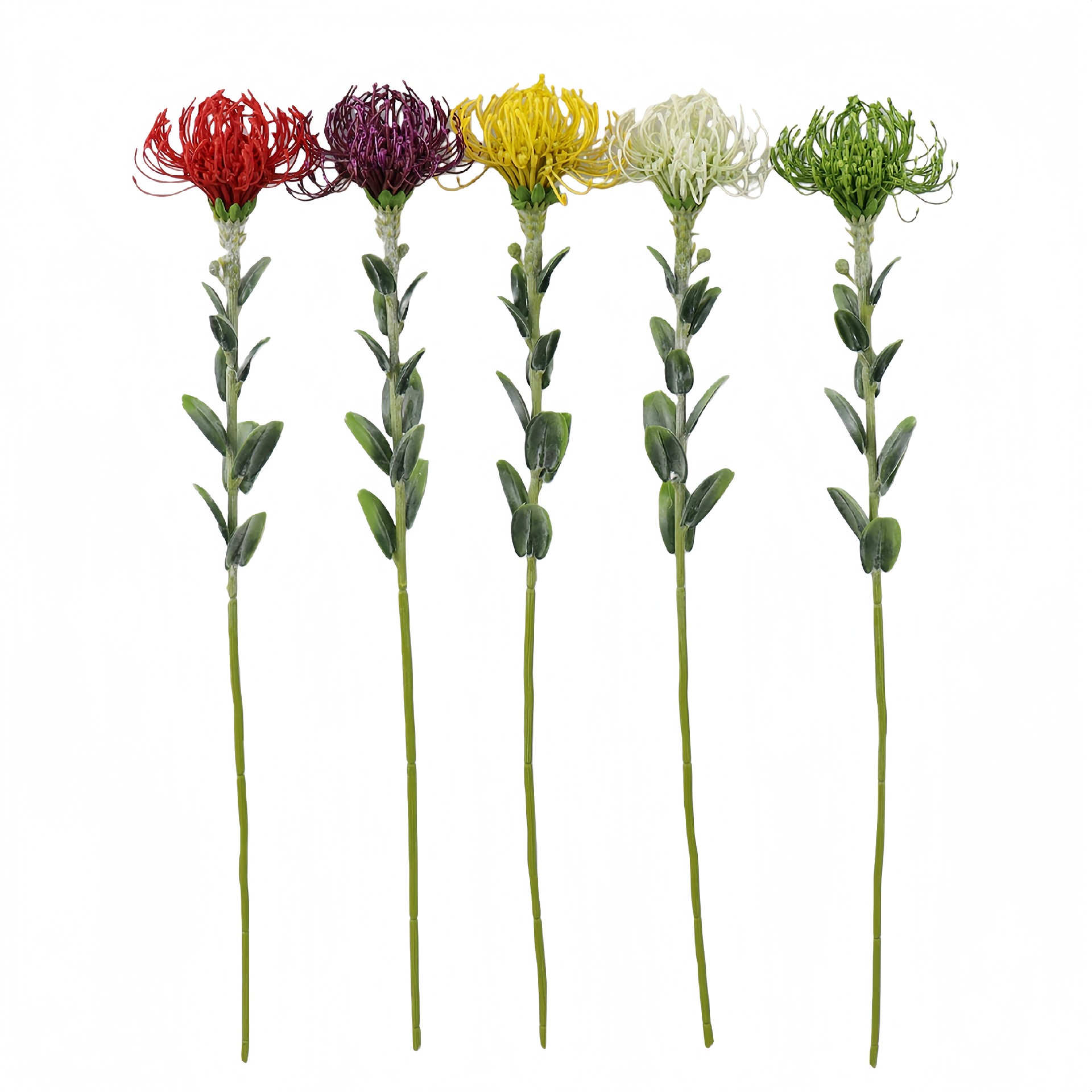 B250100YB-59 (1).JPG