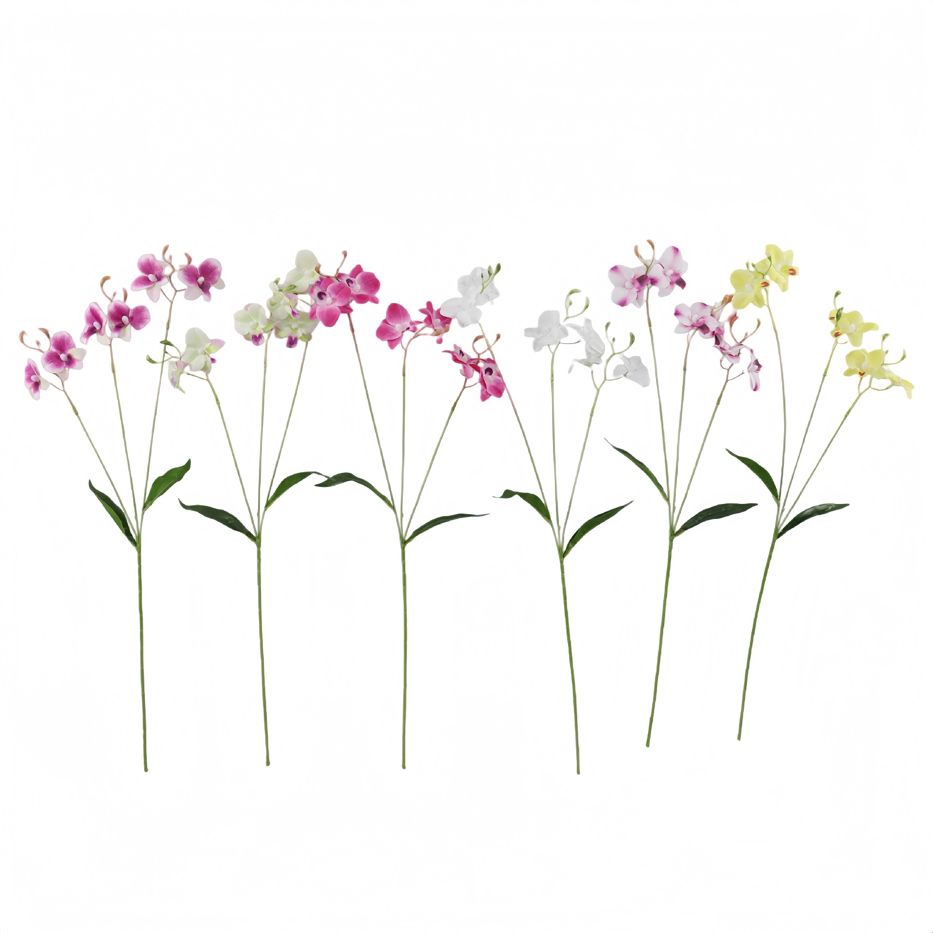 B250109YB-68 (1).JPG