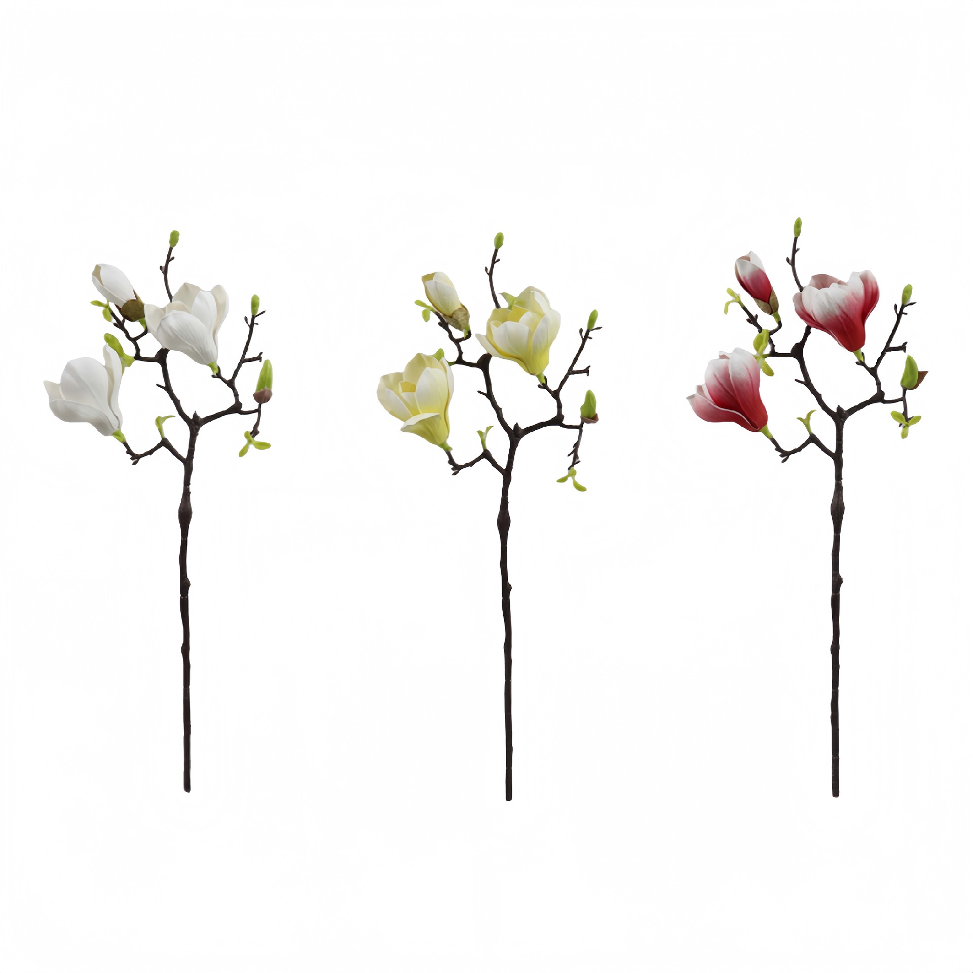 B250190QM-56 (1).JPG