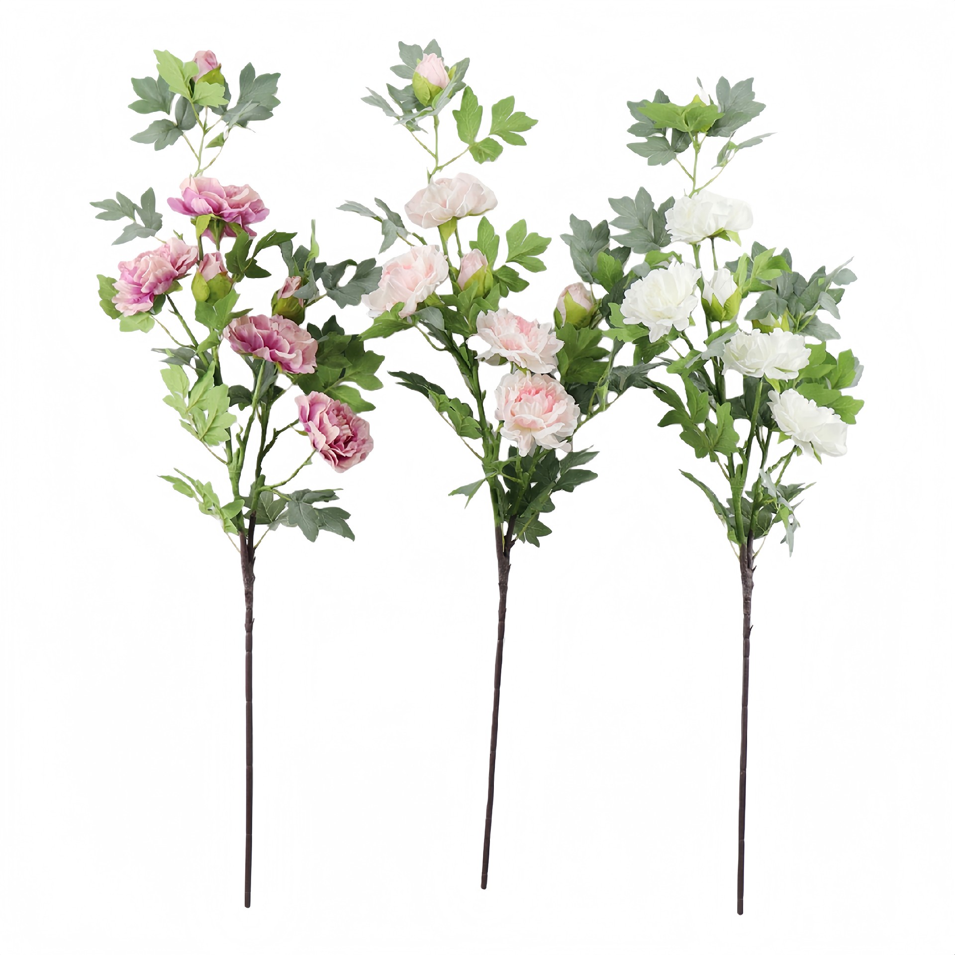 B250198XX-107 (1).JPG