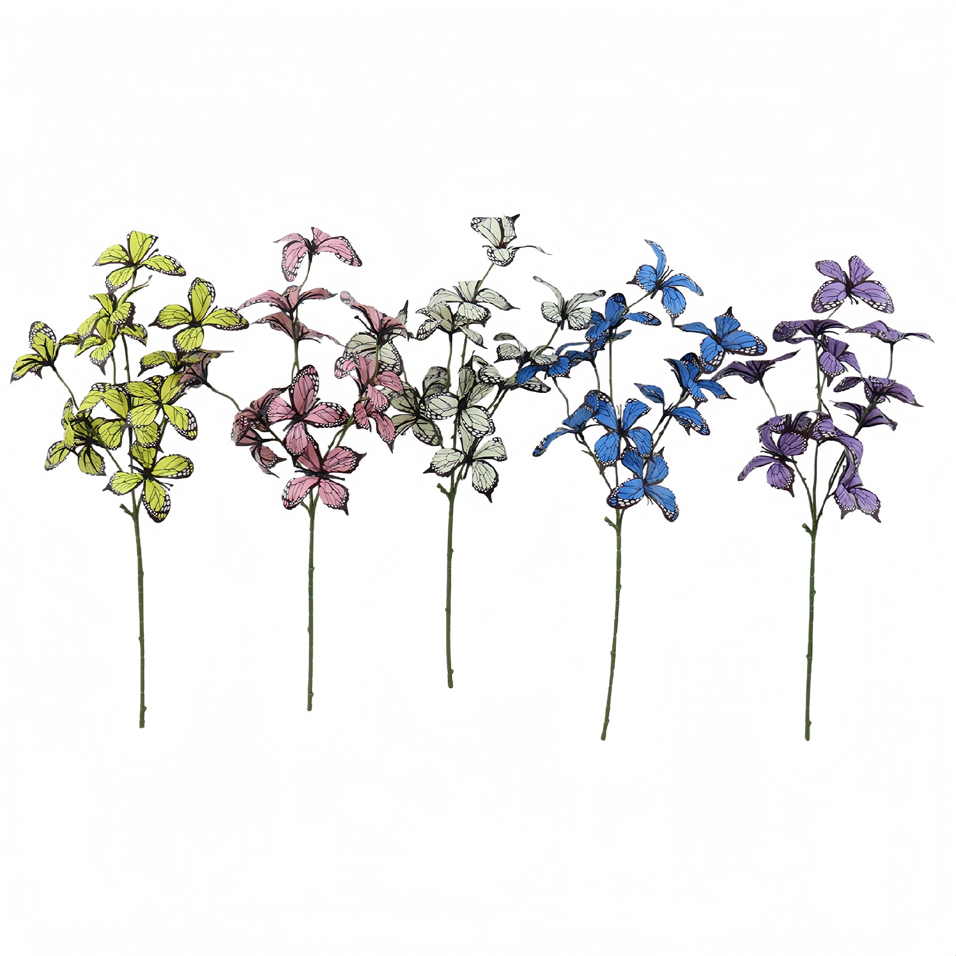 B250201CD-50 (1).JPG