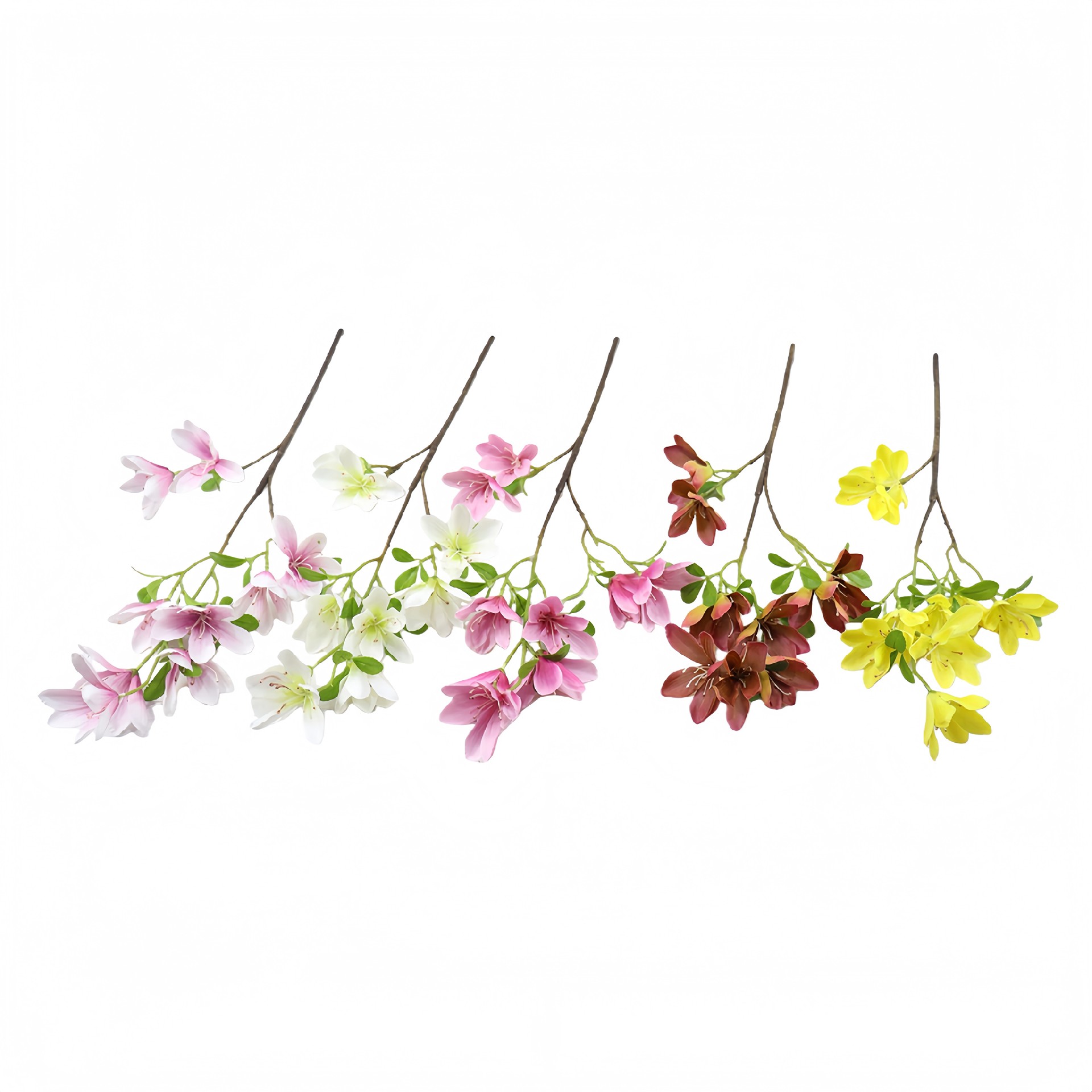 B250205LY-70 (1).JPG