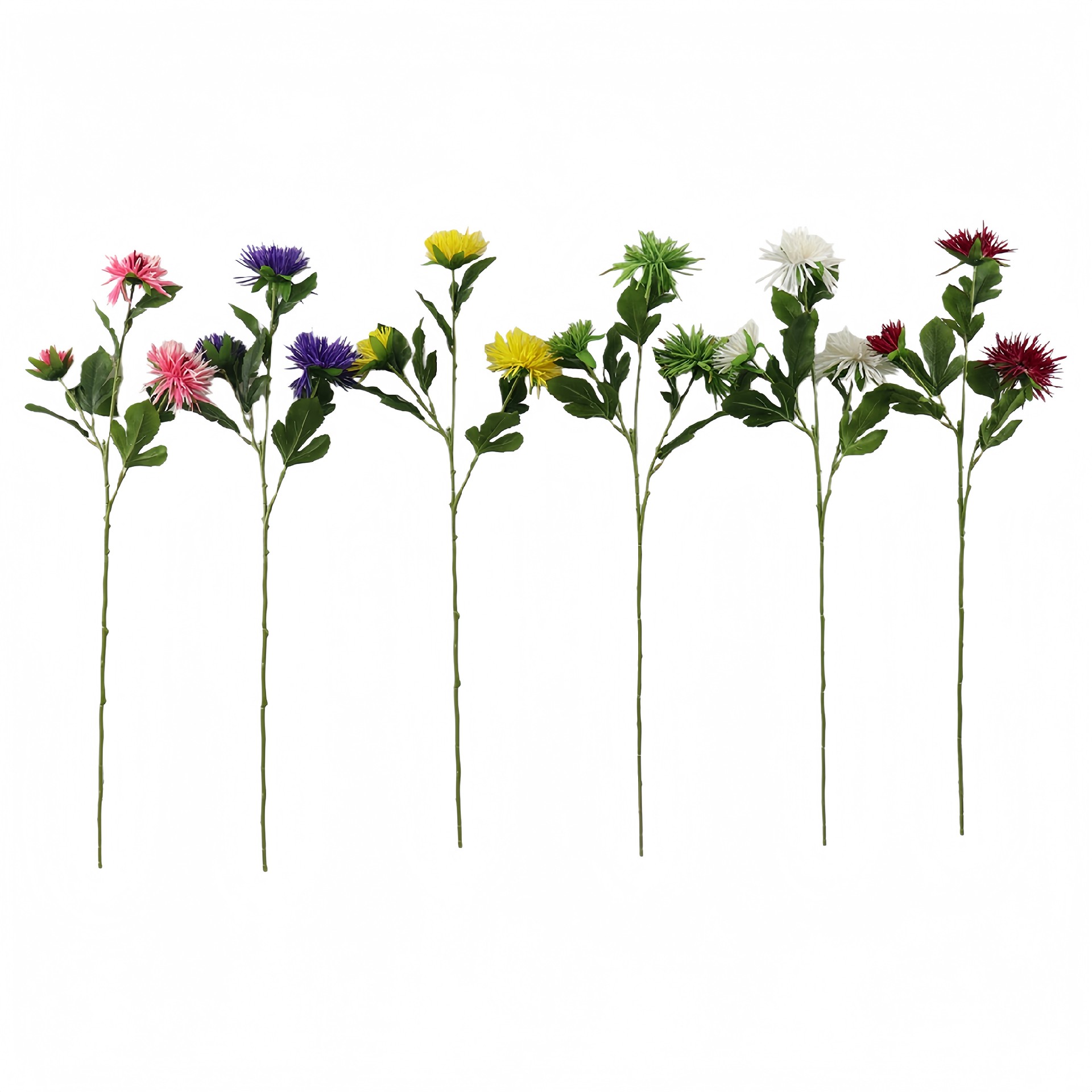 B250222JK-67 (1).JPG