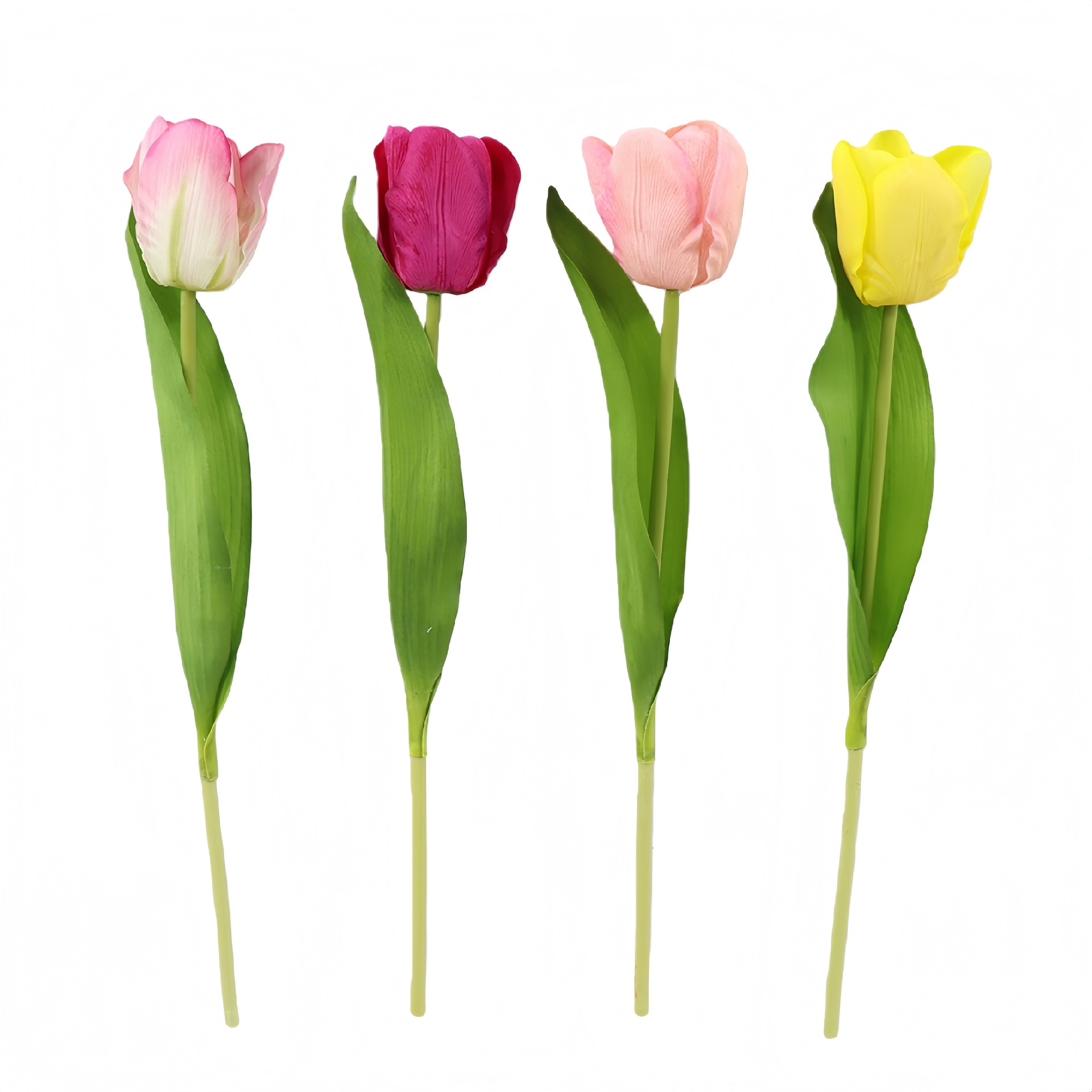 B250225WS-36 (1).JPG