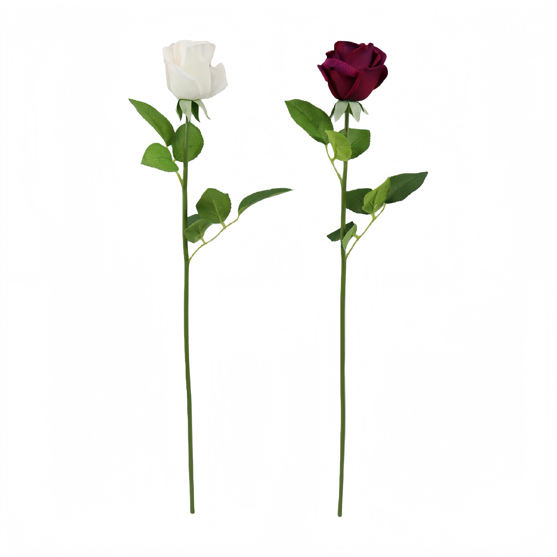 B250227WS-55 (1).JPG