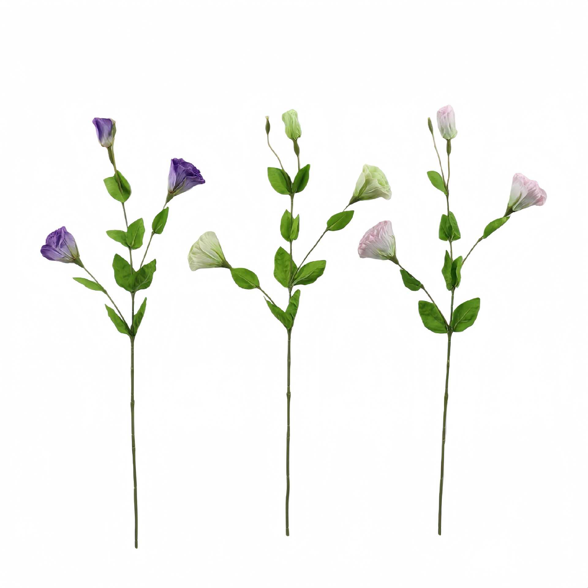 B250232WS-70 (1).JPG