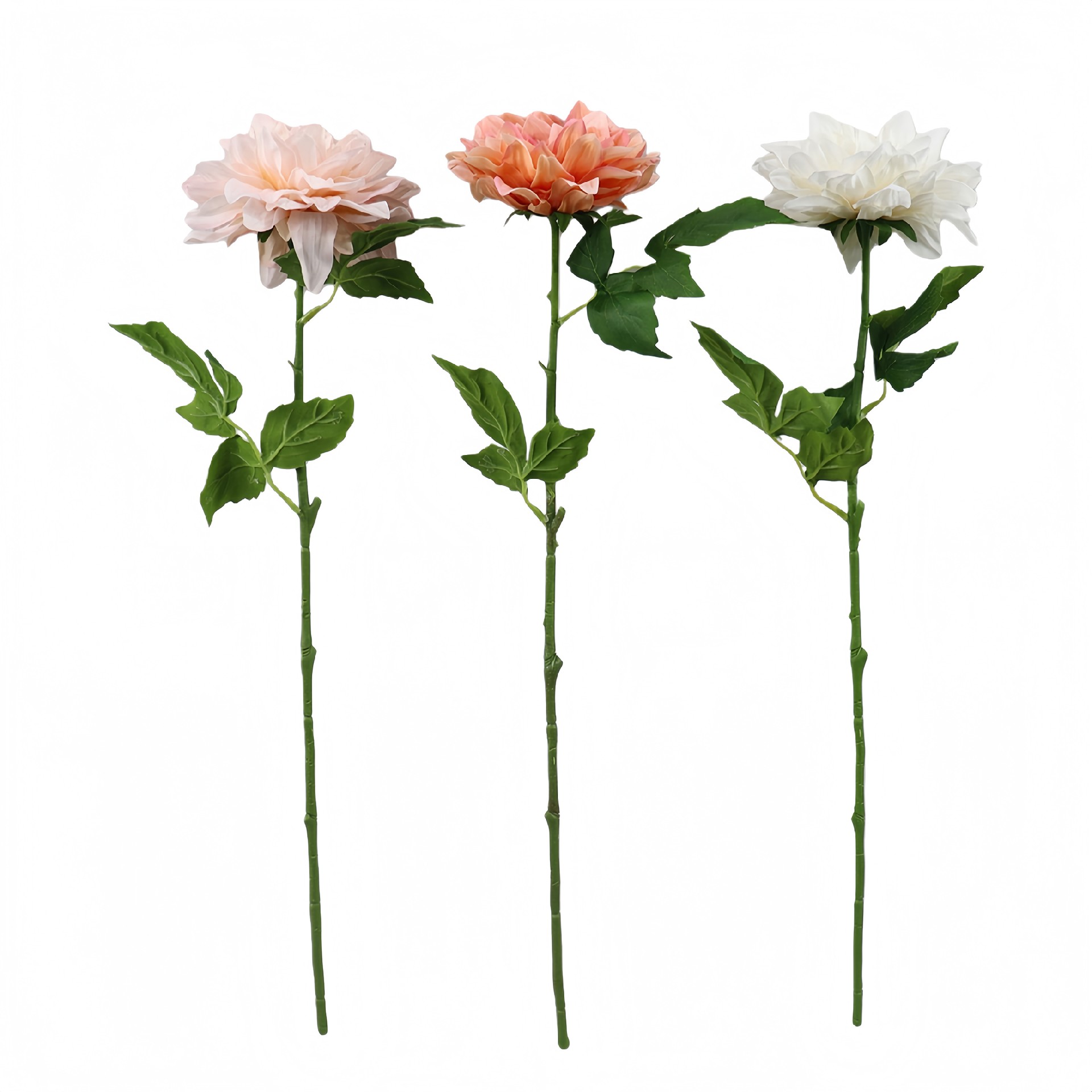 B250234WS-60 (1).JPG