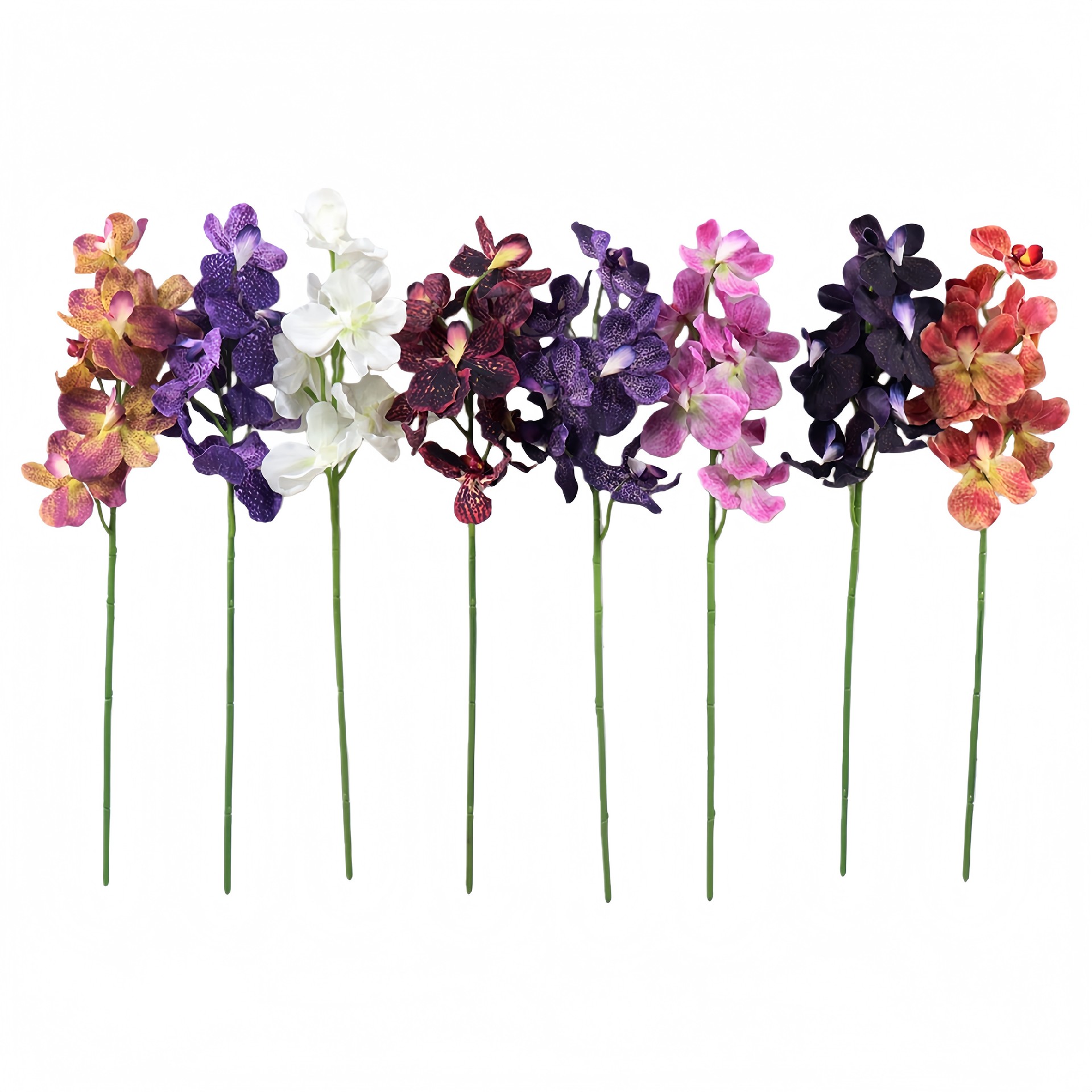 B250238WS-59 (1).JPG