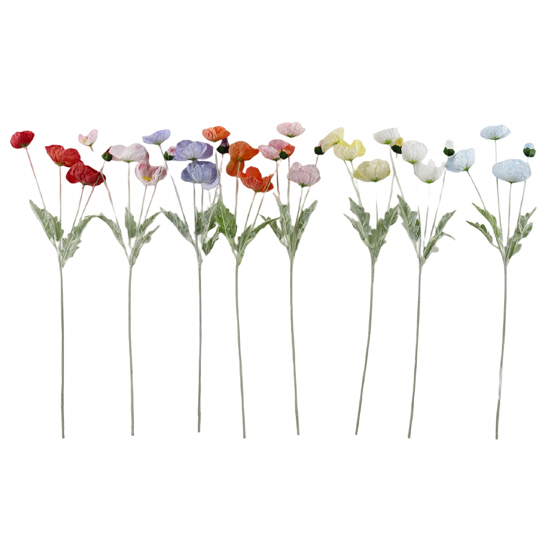 B250241WS-64 (1).JPG