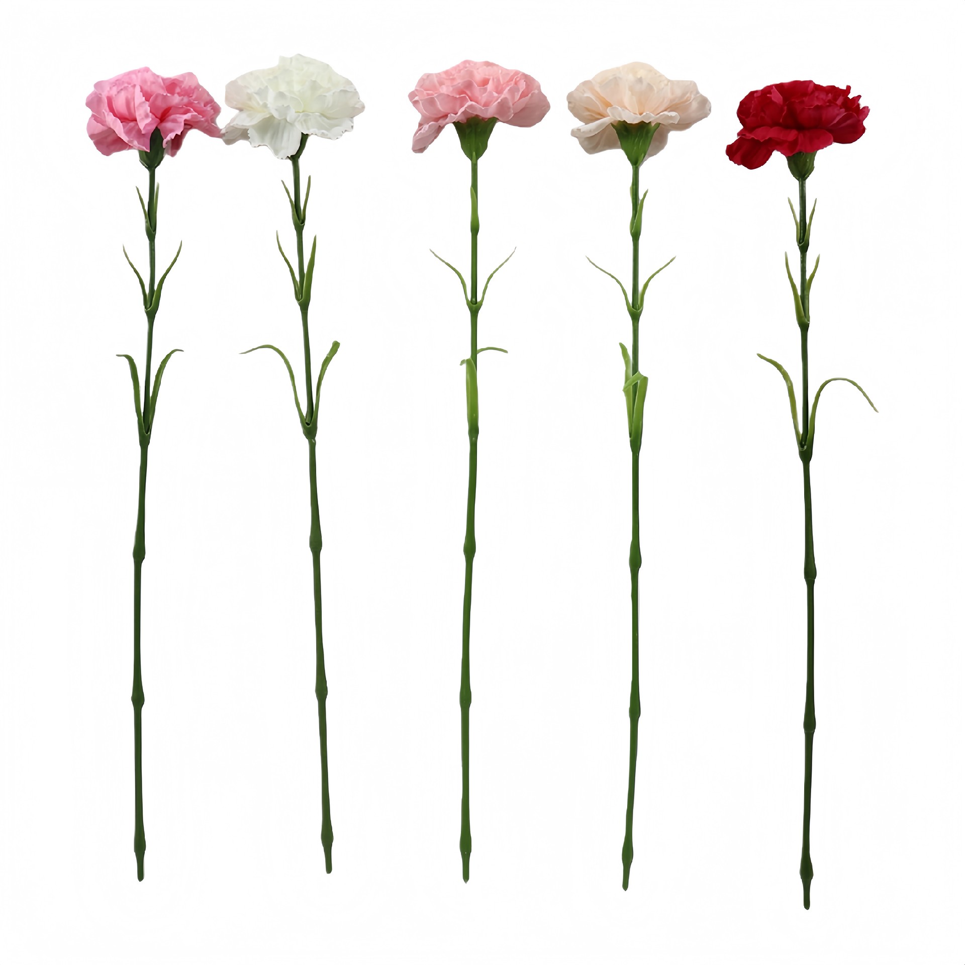 B250243WS-52 (1).JPG