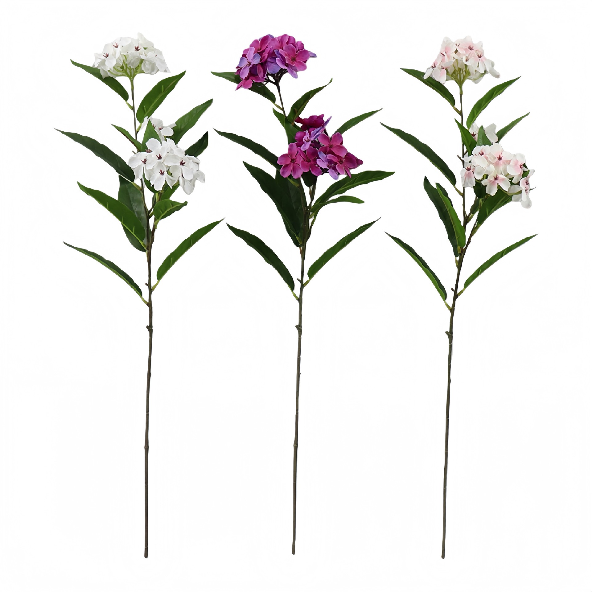 B250263XY-63 (1).JPG