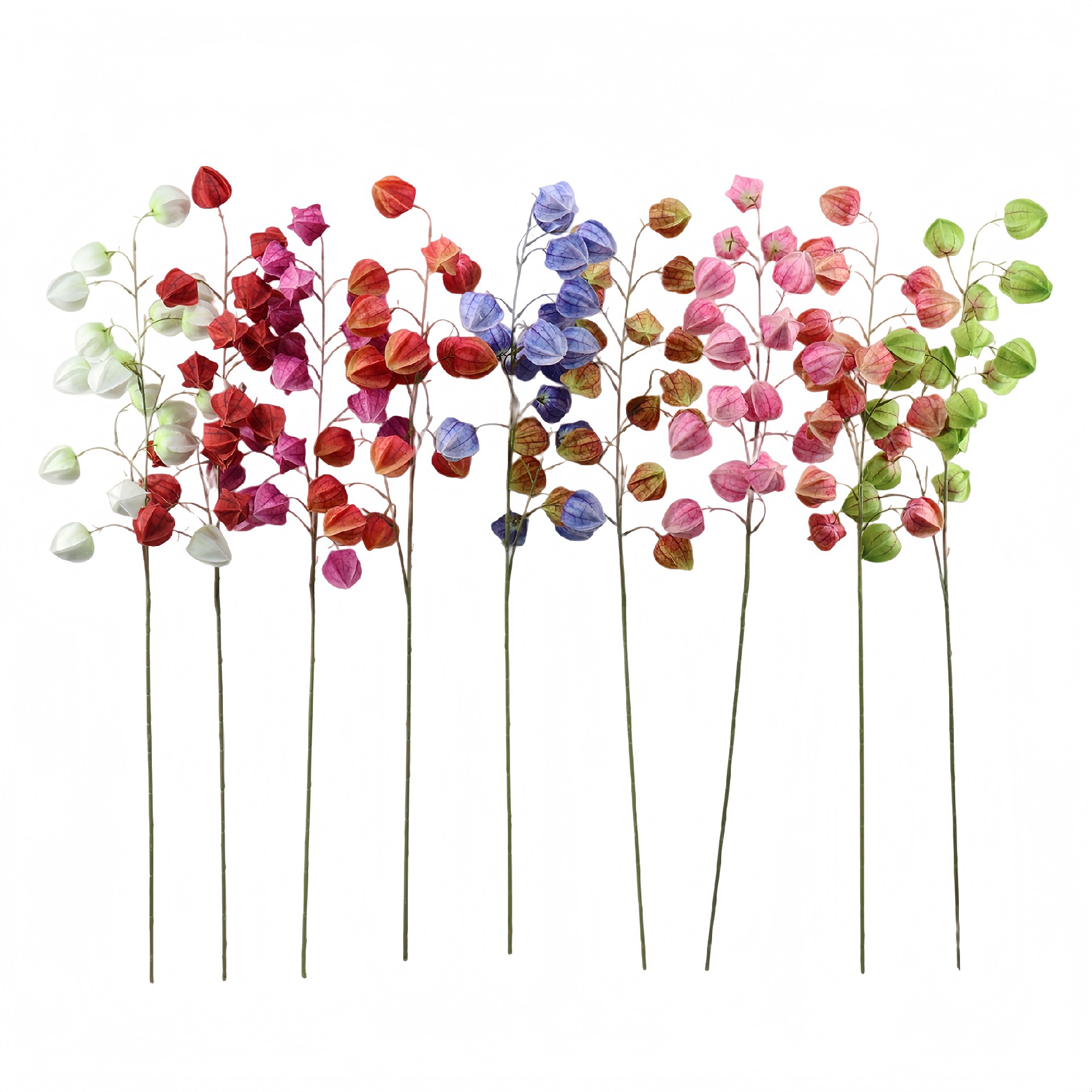 B250267HT-100 (1).JPG