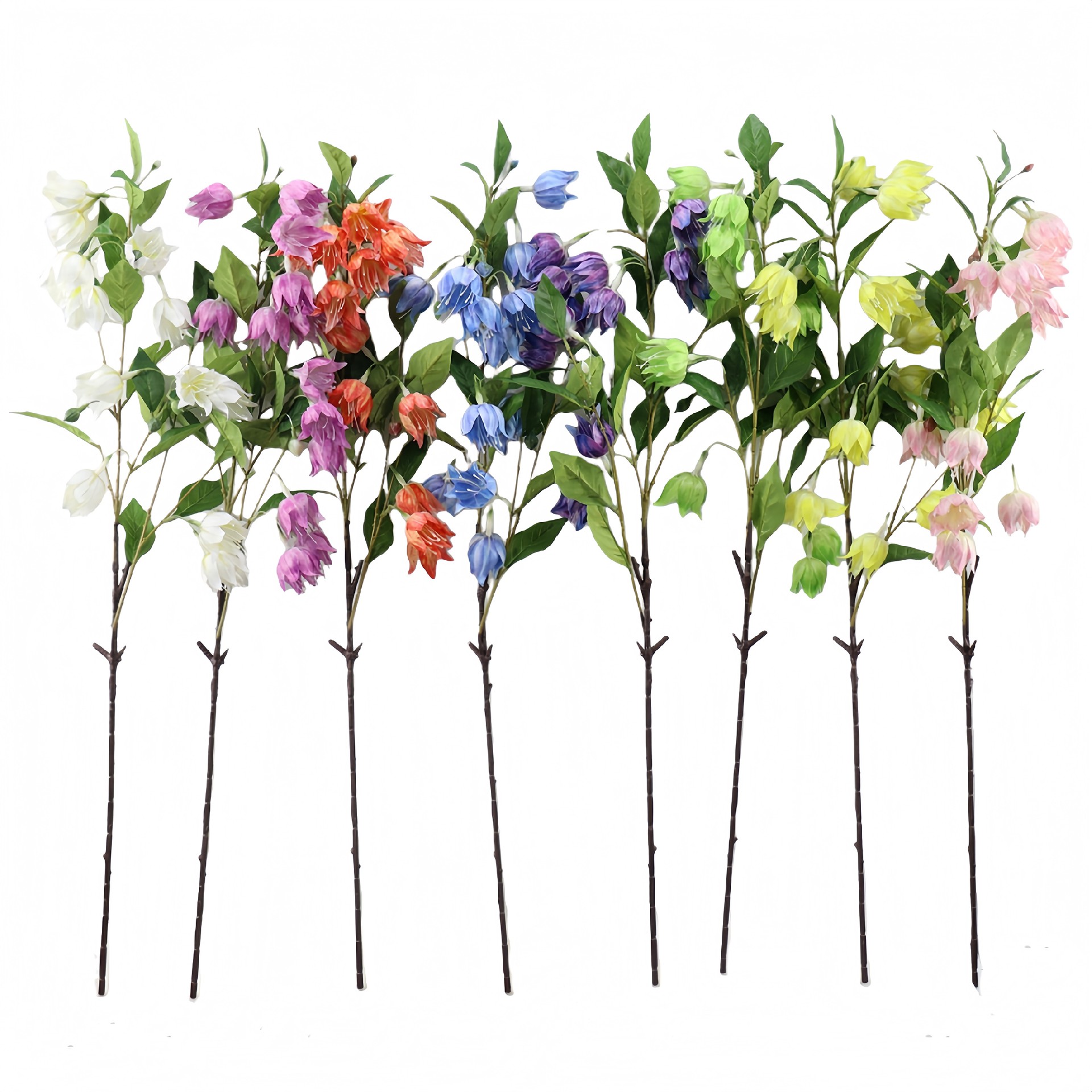 B250268HT-110 (1).JPG