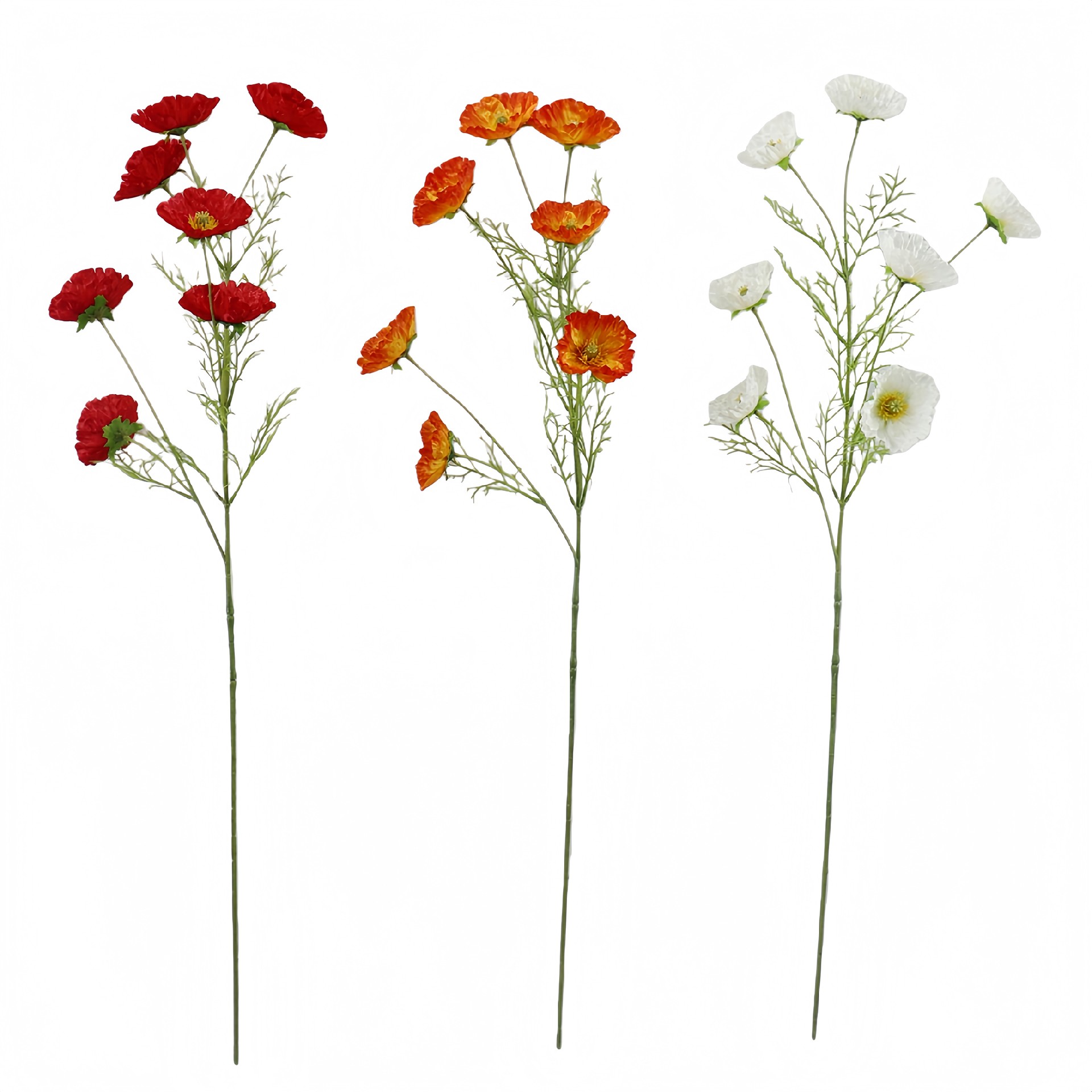 B250314YH-78 (1).JPG