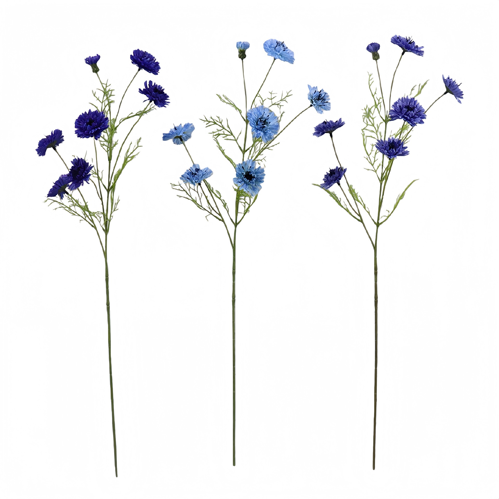 B250318YH-78 (1).JPG