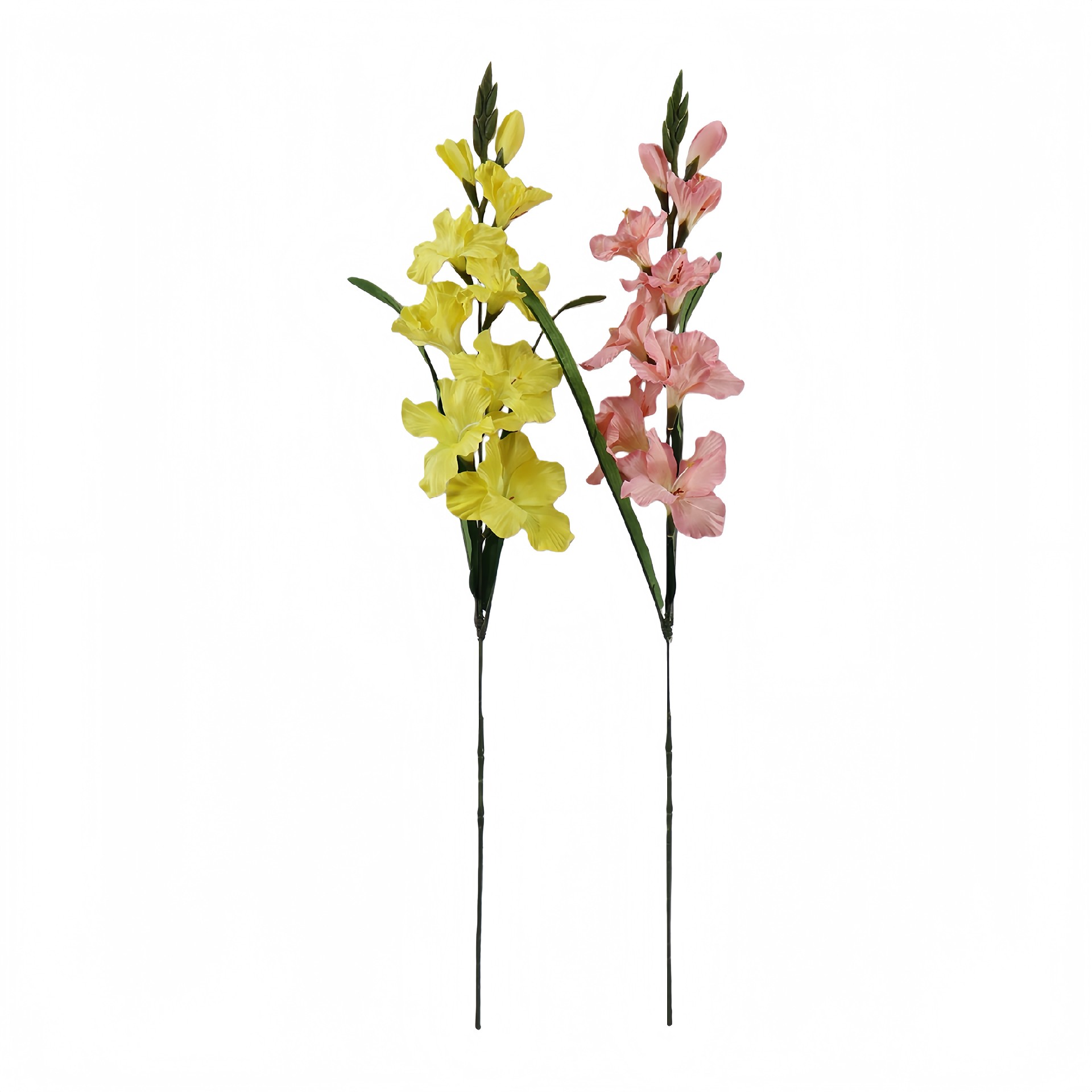 B250325YH-83 (5).JPG