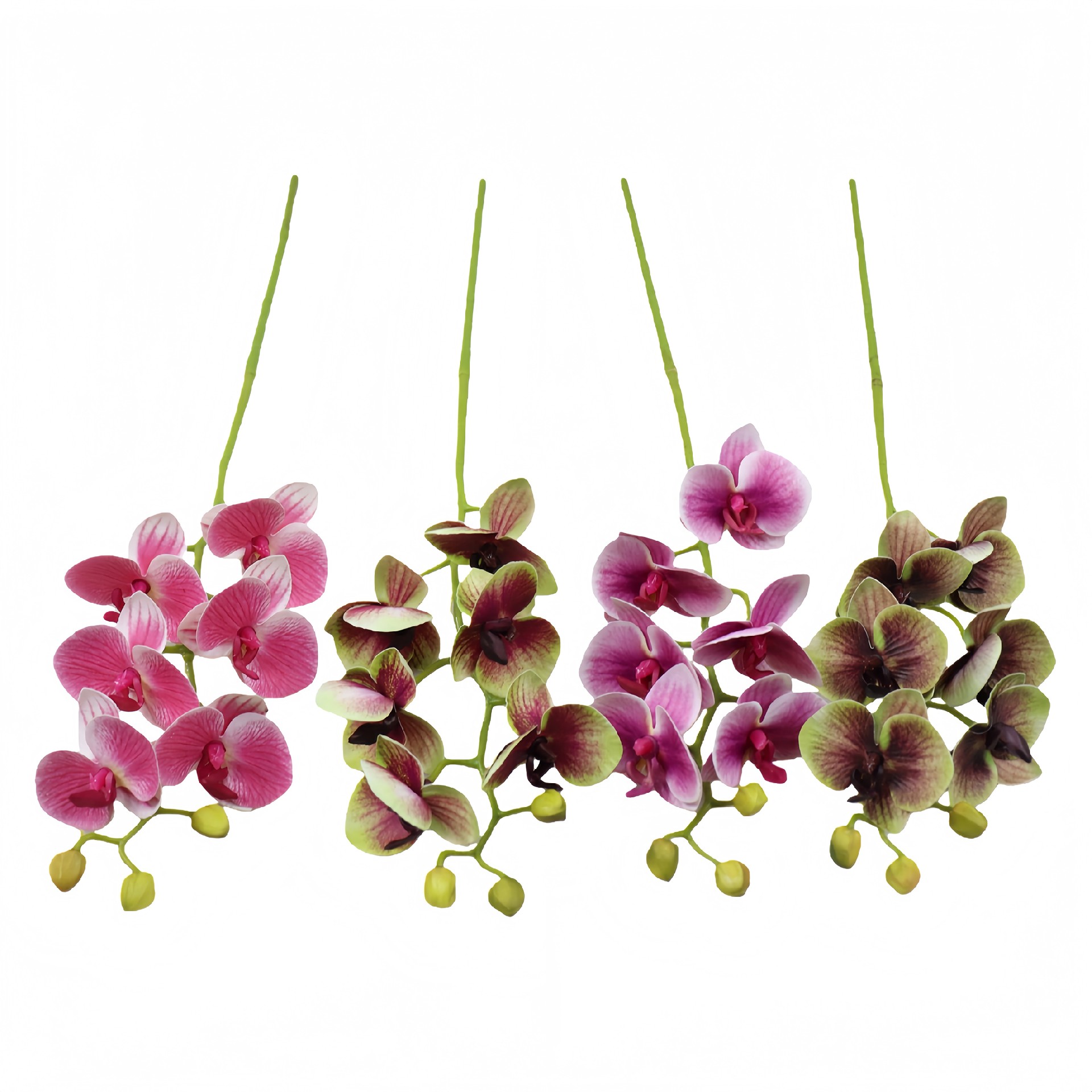 B250342ZY-50 (1).JPG