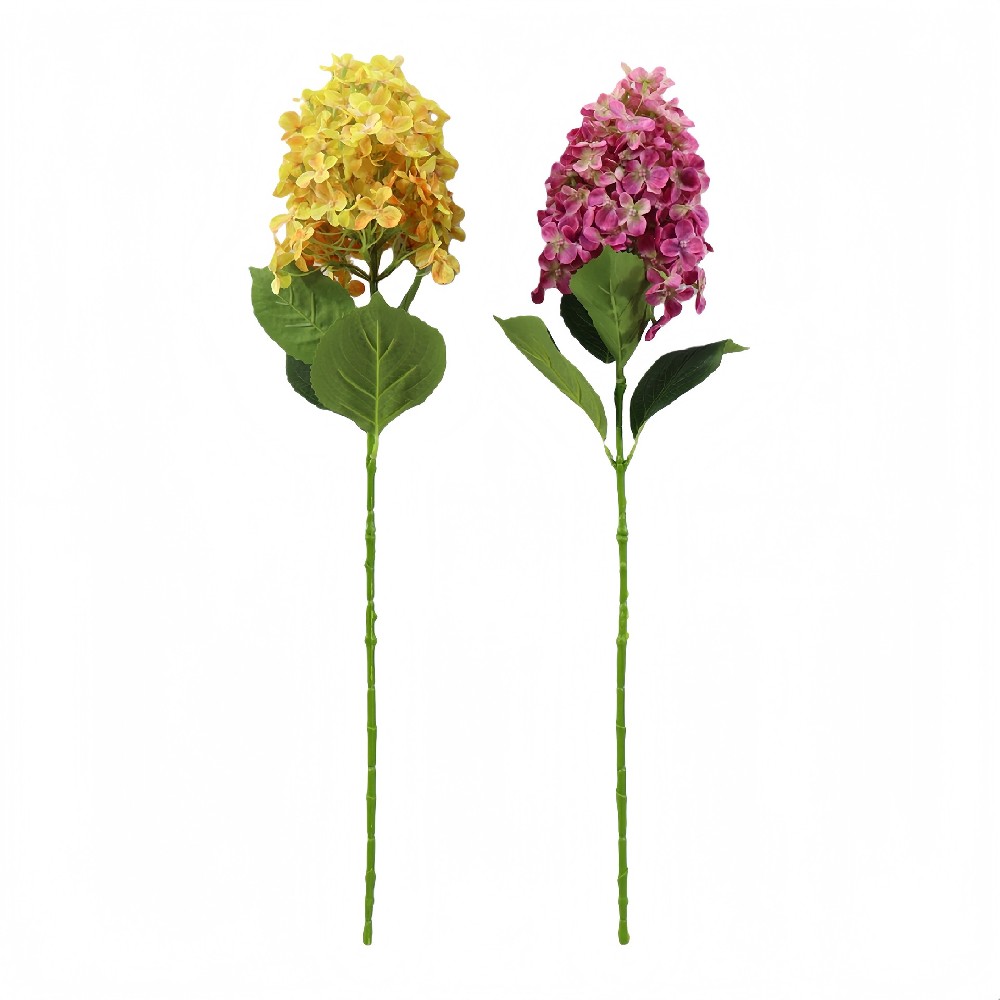 B250449SX-75 (1).JPG