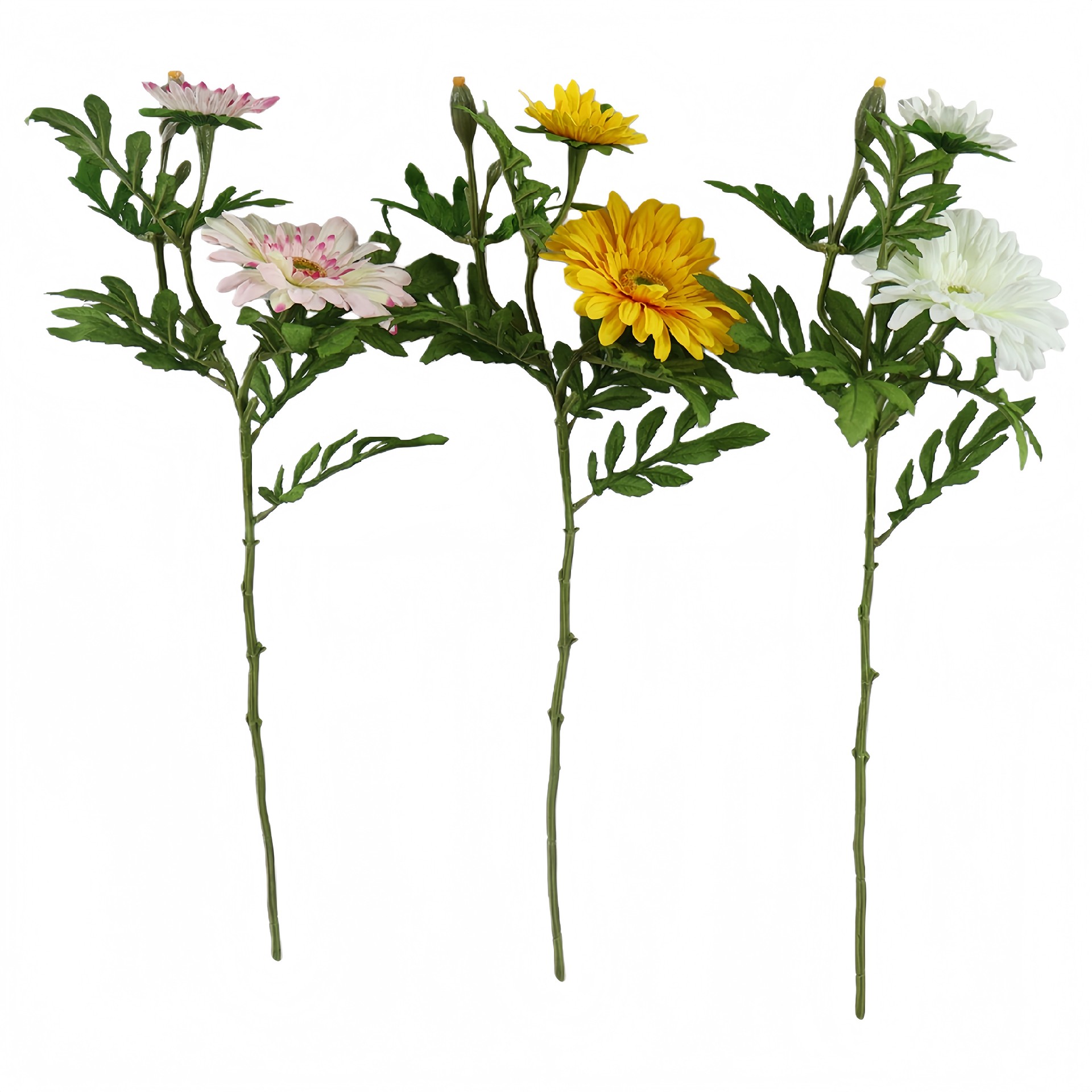 B250465YH-56 (1).JPG