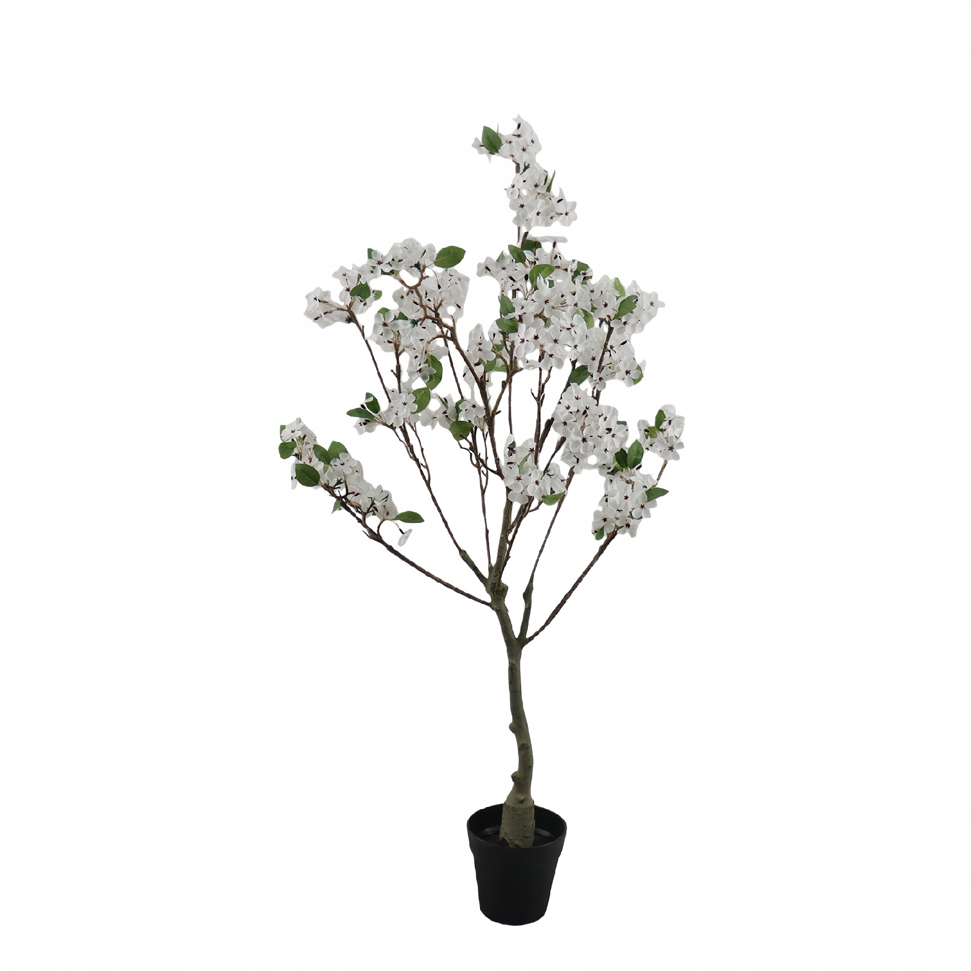 P250865GL-120 (1).JPG