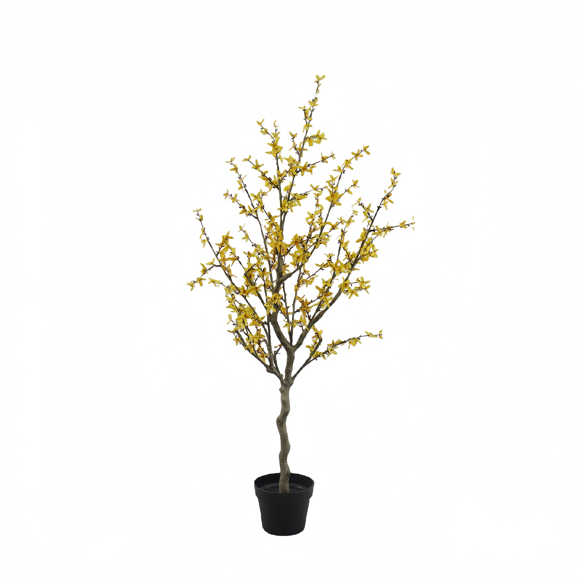 P250850GL-132 (1).JPG