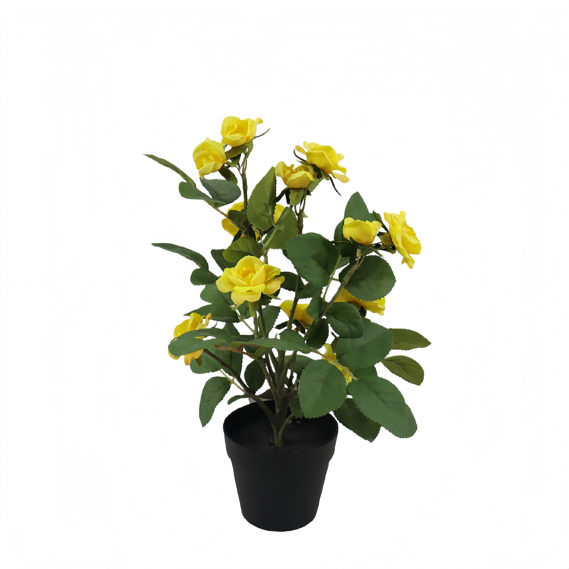 P250858GL-30 (1).JPG