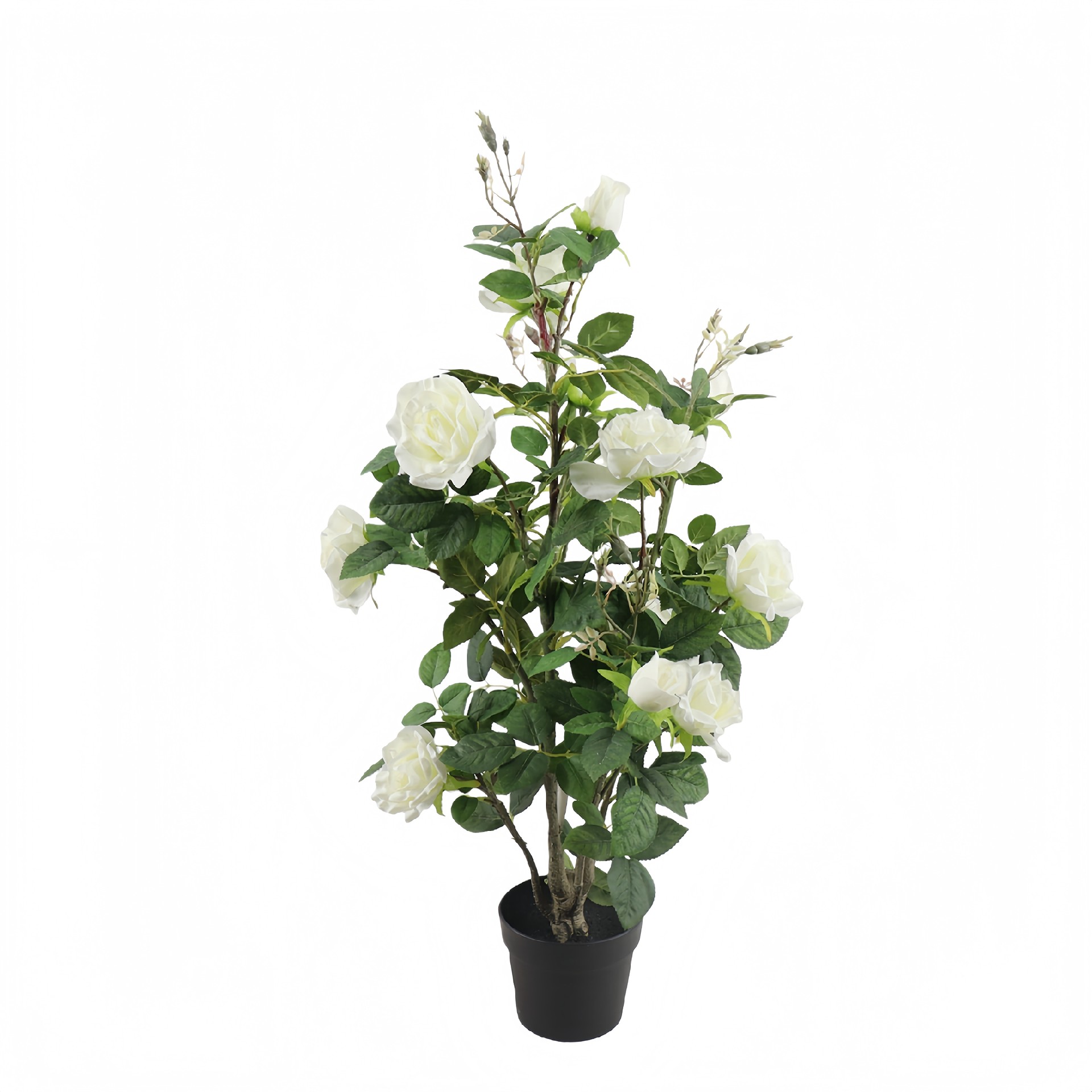 P250852GL-90 (1).JPG