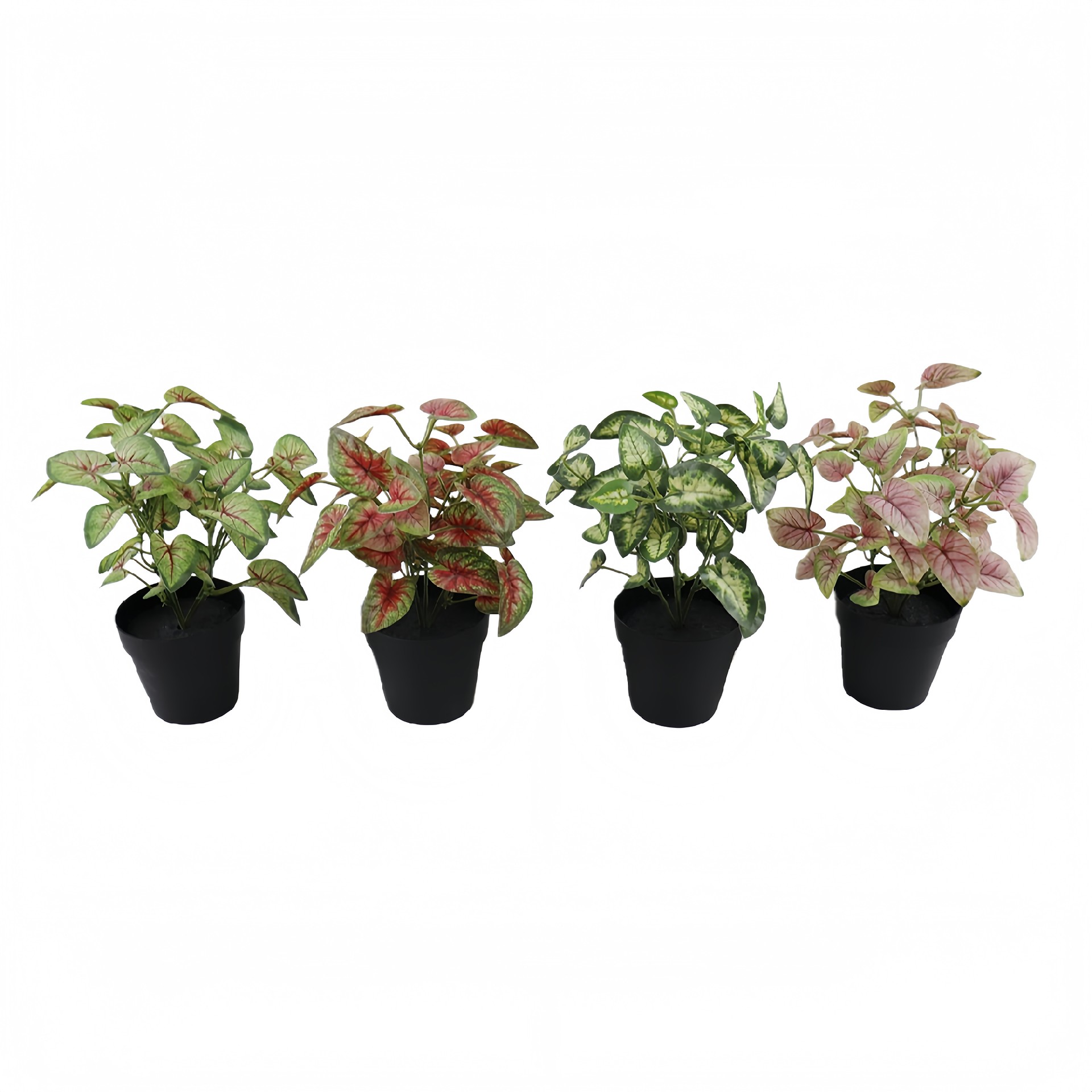 P250844GL-24 (1).JPG