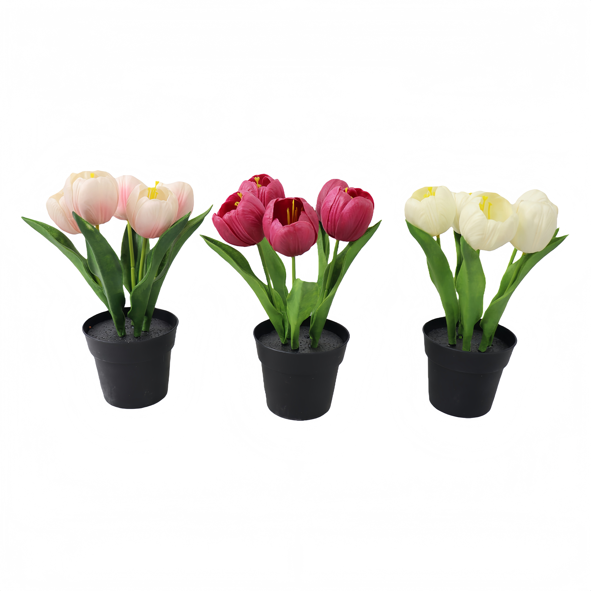 P250985JDL-23 (1).JPG