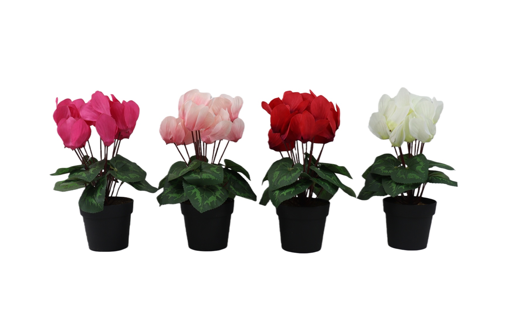 P250984JDL-29 (1).JPG