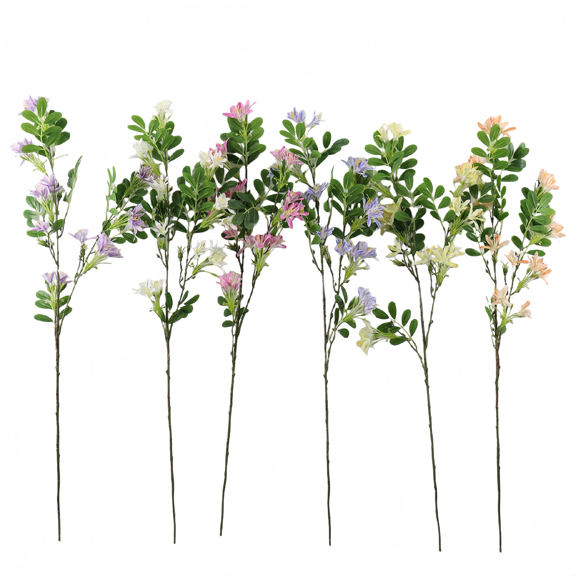 B250097YB-90 (1).JPG