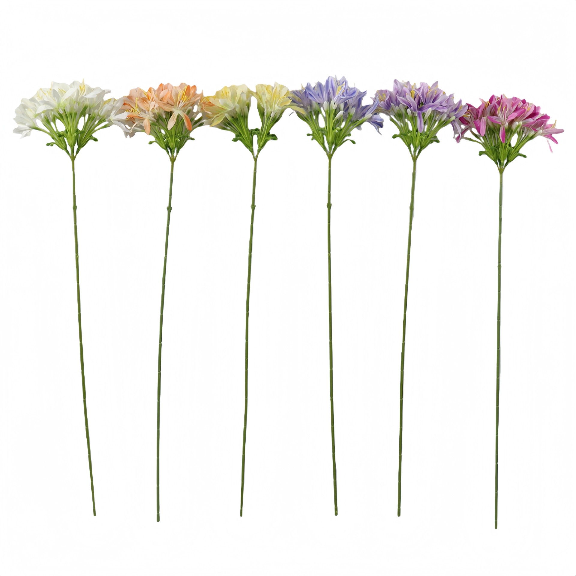 B250098YB-66 (1).JPG