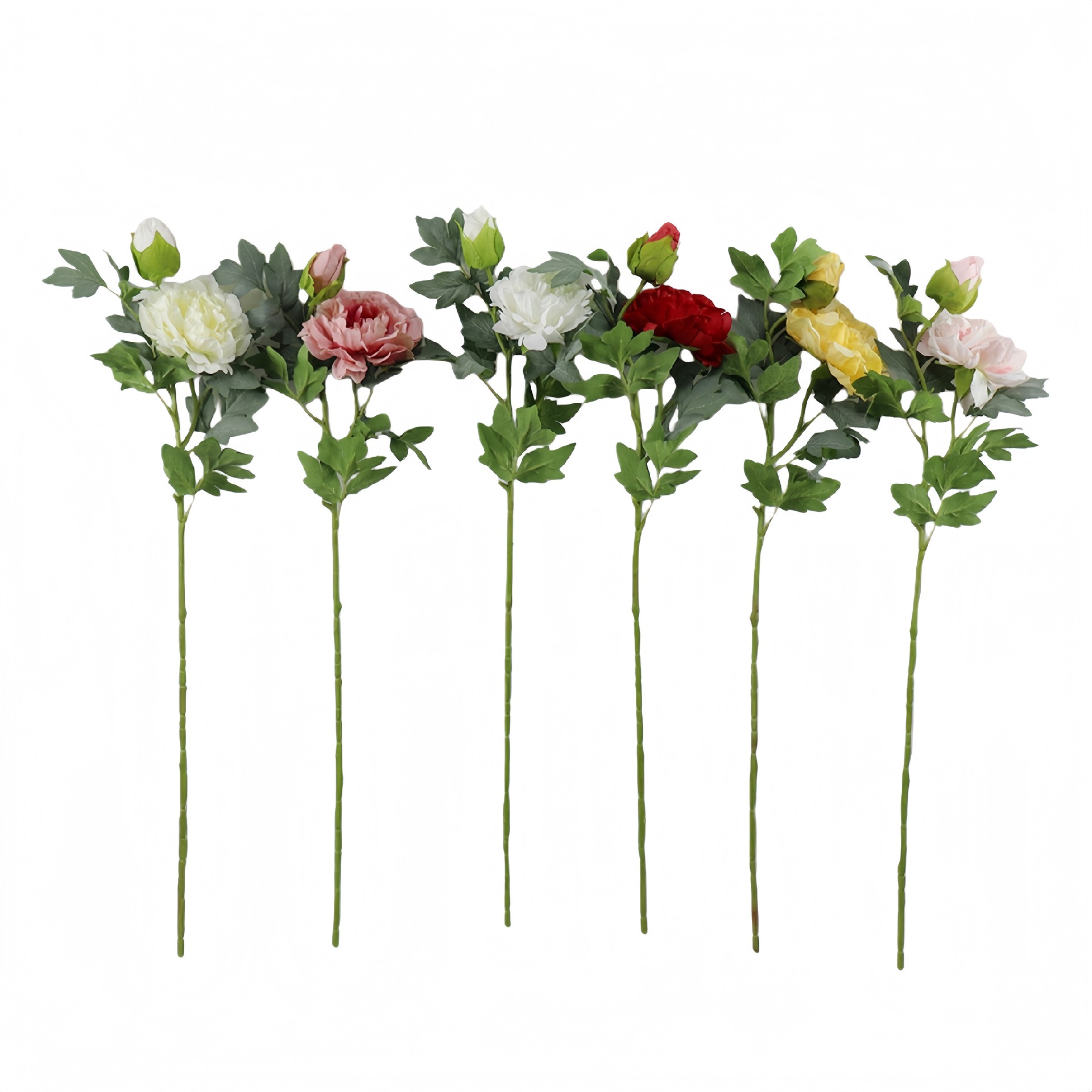 B250199XX-79 (1).JPG