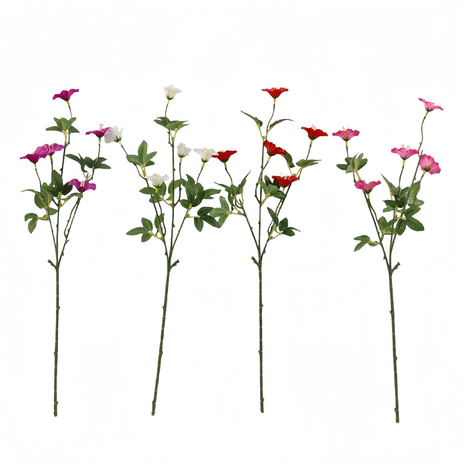 B250204CD-50 (1).JPG