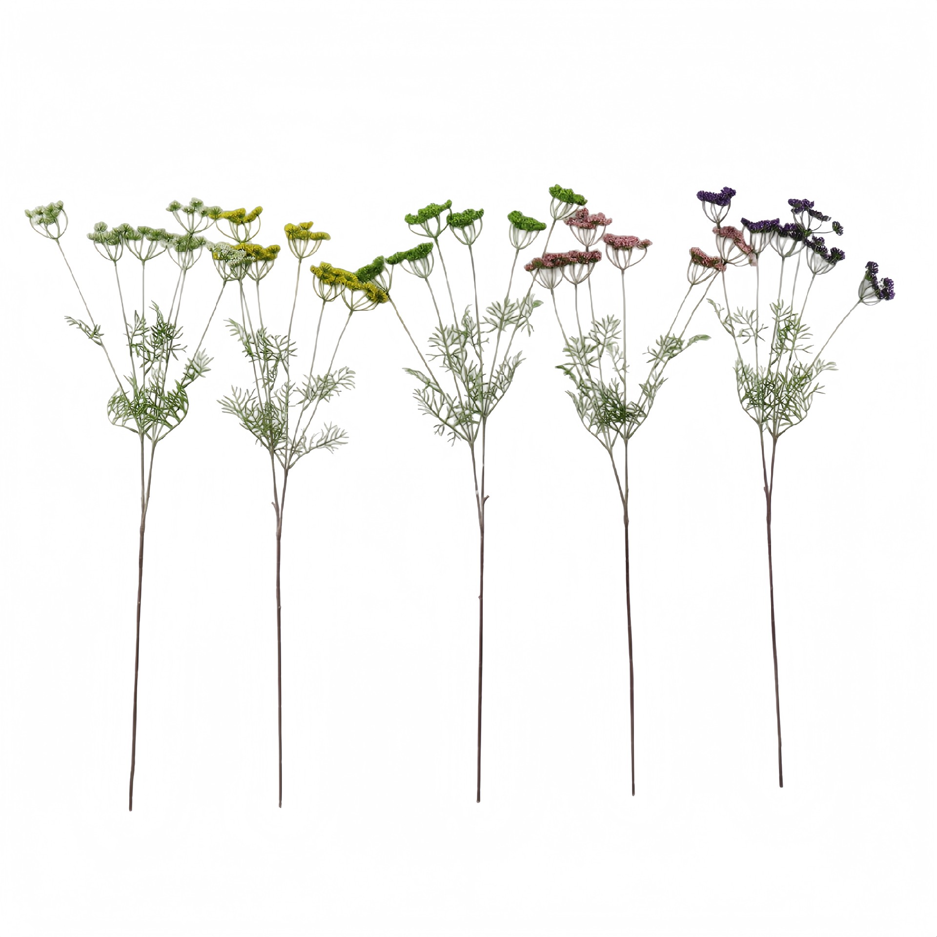 B250221JK-92 (1).JPG