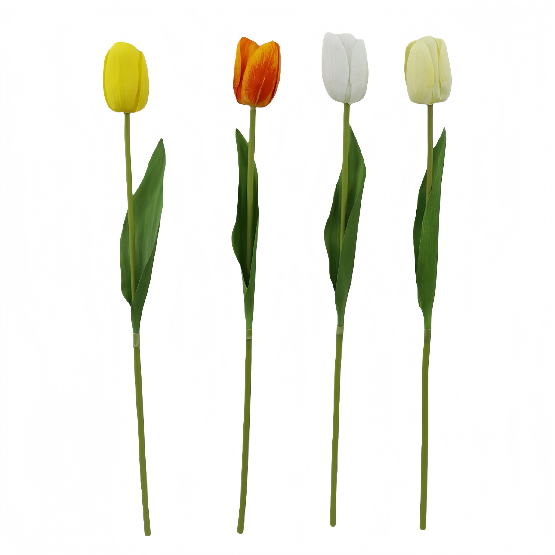 B250226WS-47 (1).JPG