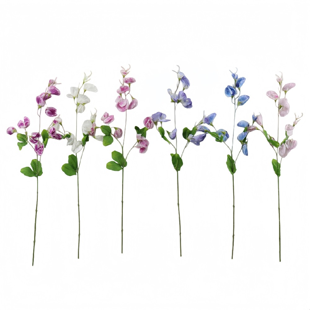 B250228WS-73 (1).JPG