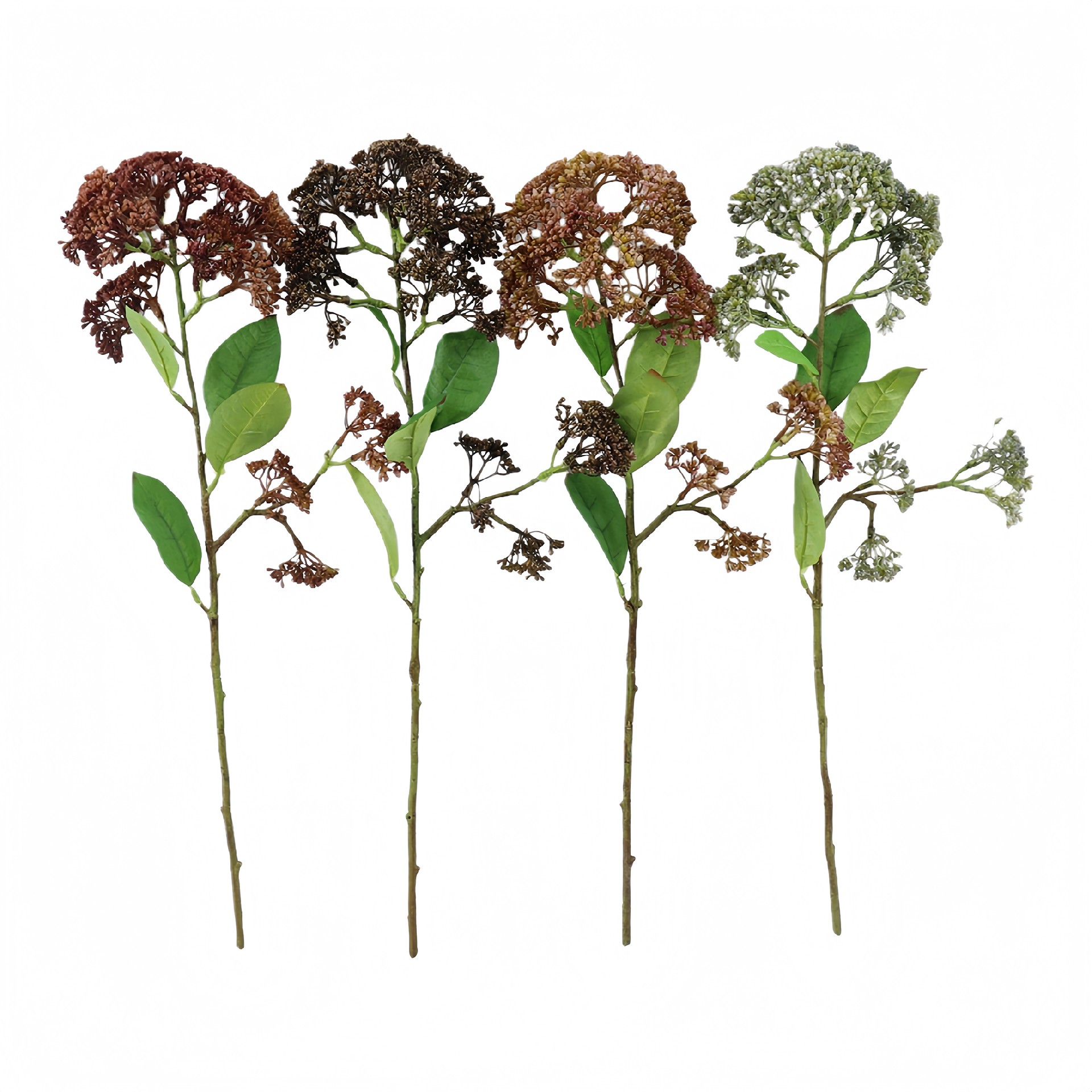 B250233WS-50 (1).JPG