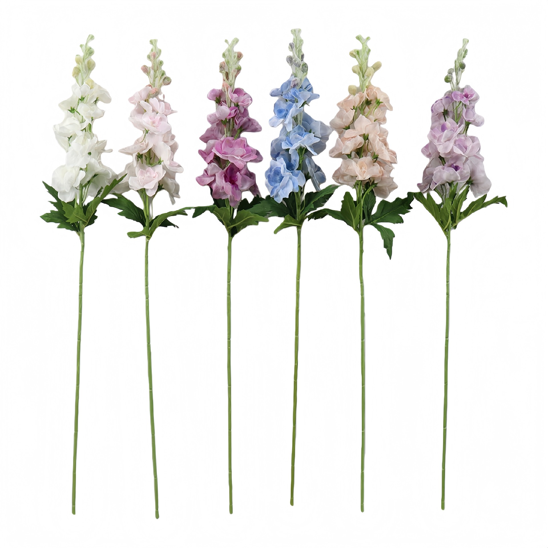 B250237WS-70 (1).JPG