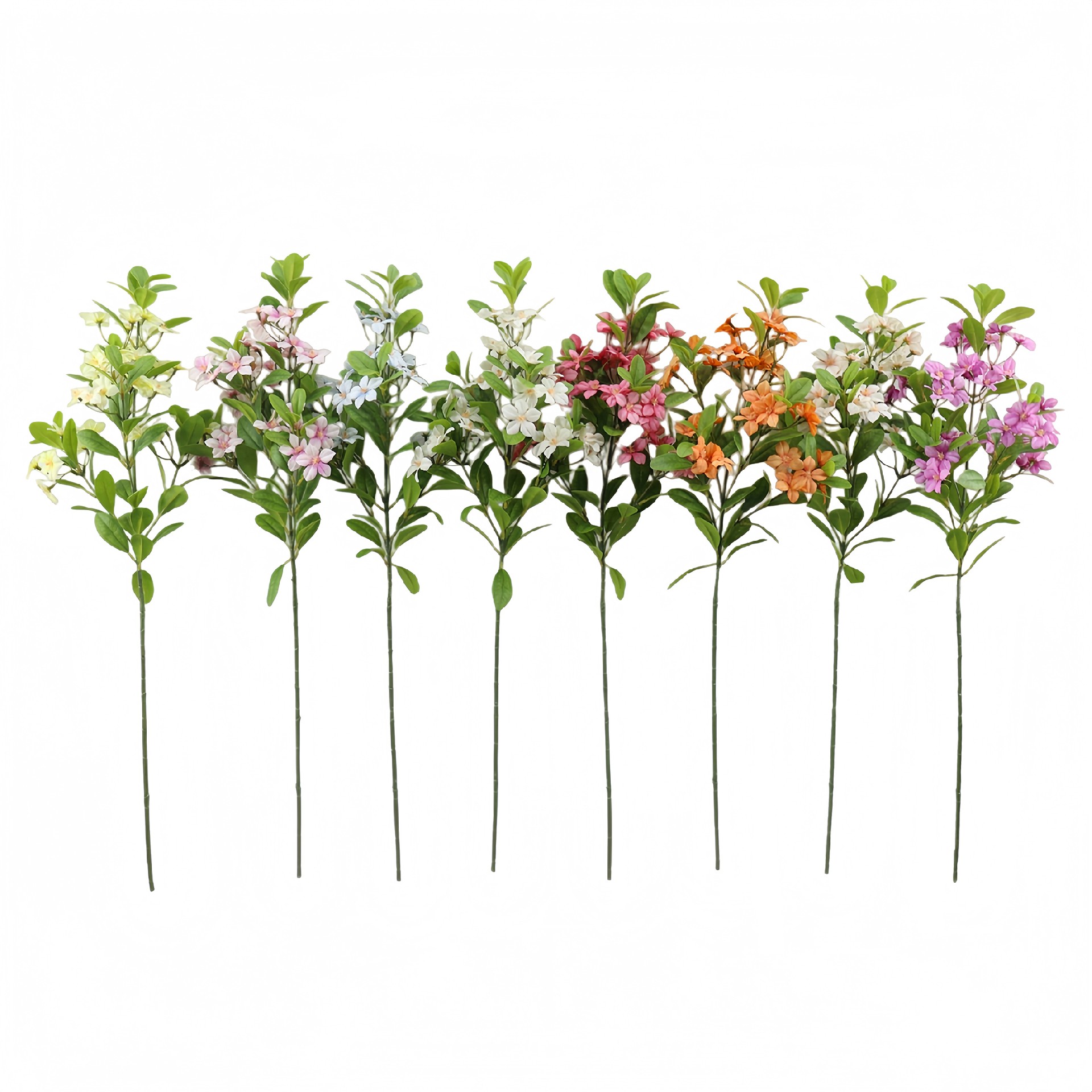 B250269HK-78 (1).JPG