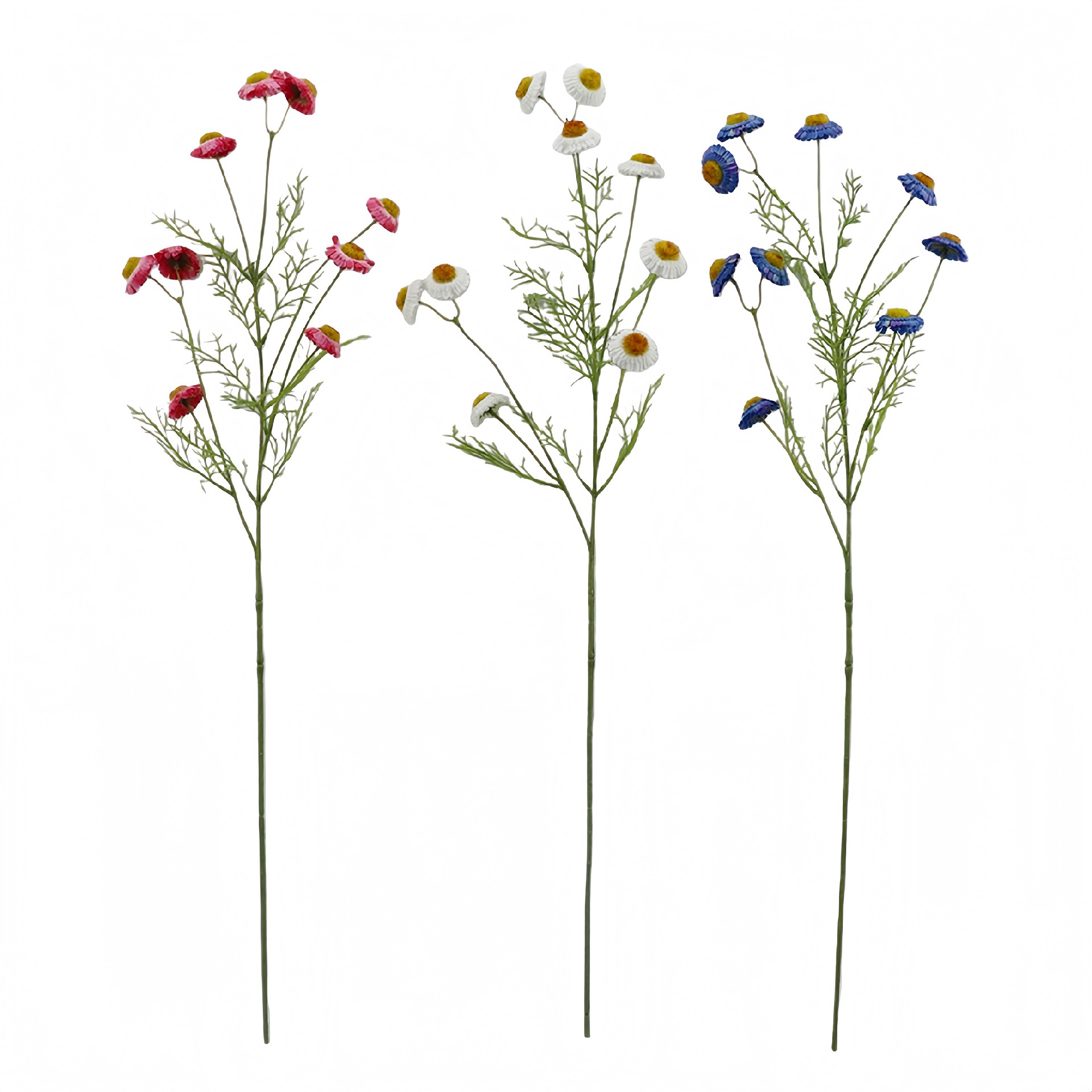 B250315YH-79 (1).JPG